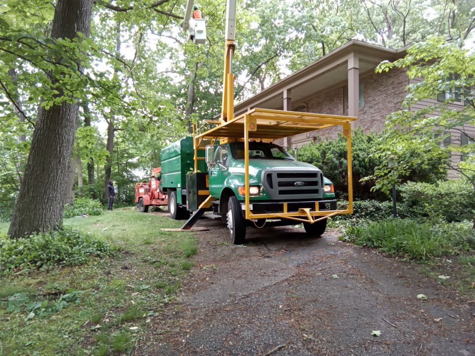Tree Trimming using Tree Pruing by Mike Jones & Sons Tree Service LLC 
