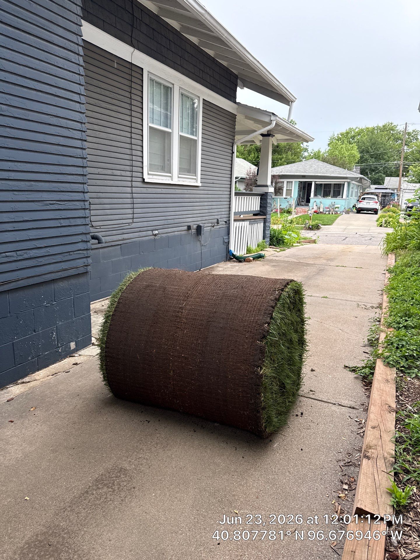 New sod installation and Bathroom drain repair by Customer Success Demo Account