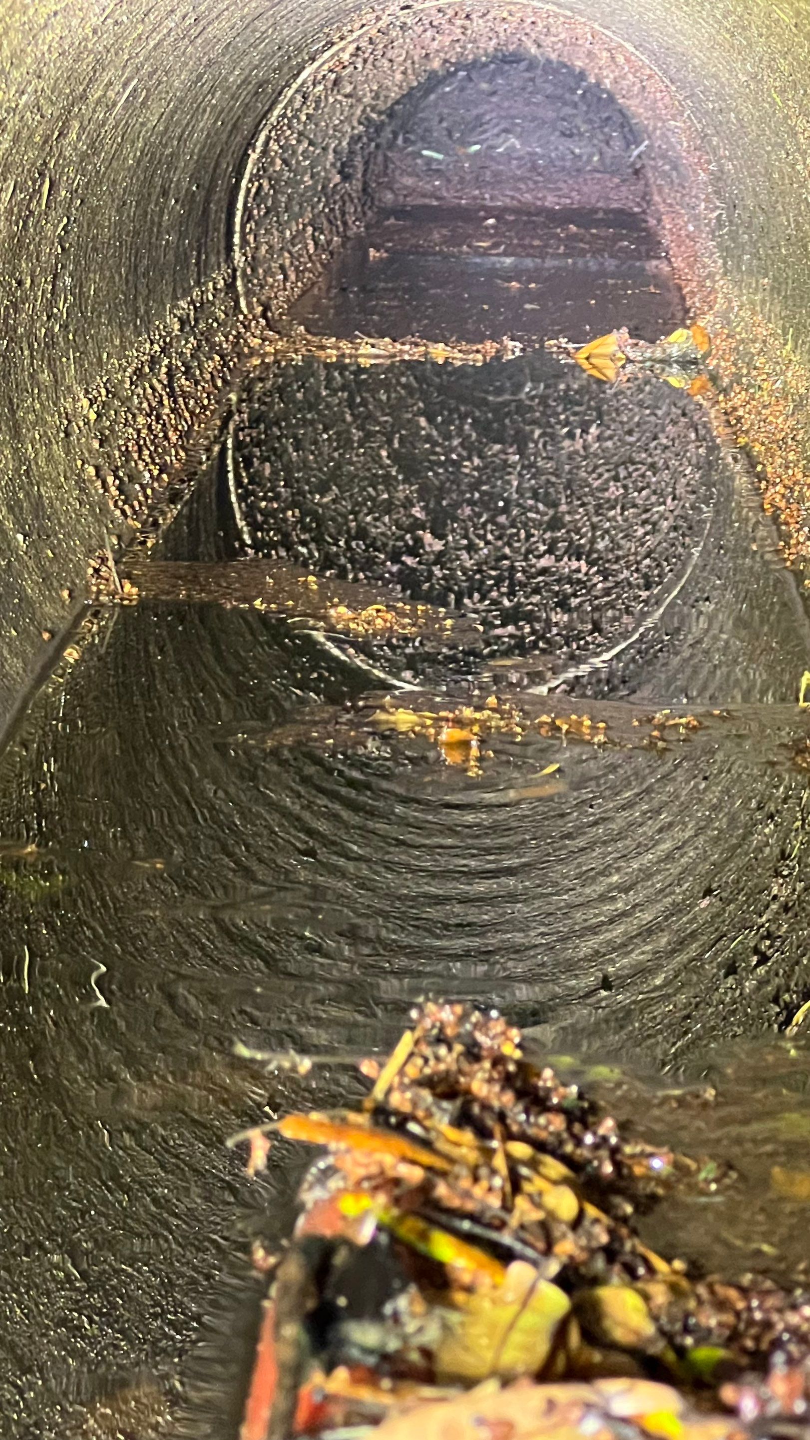 Naples Community Stormwater System Maintenance by Don Mar, Inc. Storm Water Solutions