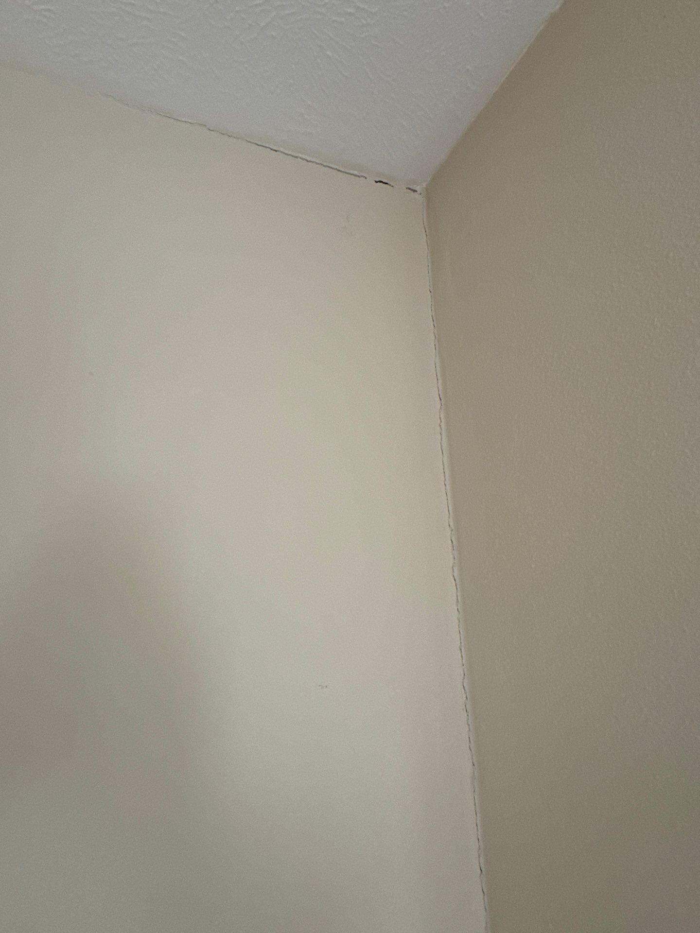 Cabinets, Walls and Ceiling Finishing by OCS Contracting Services