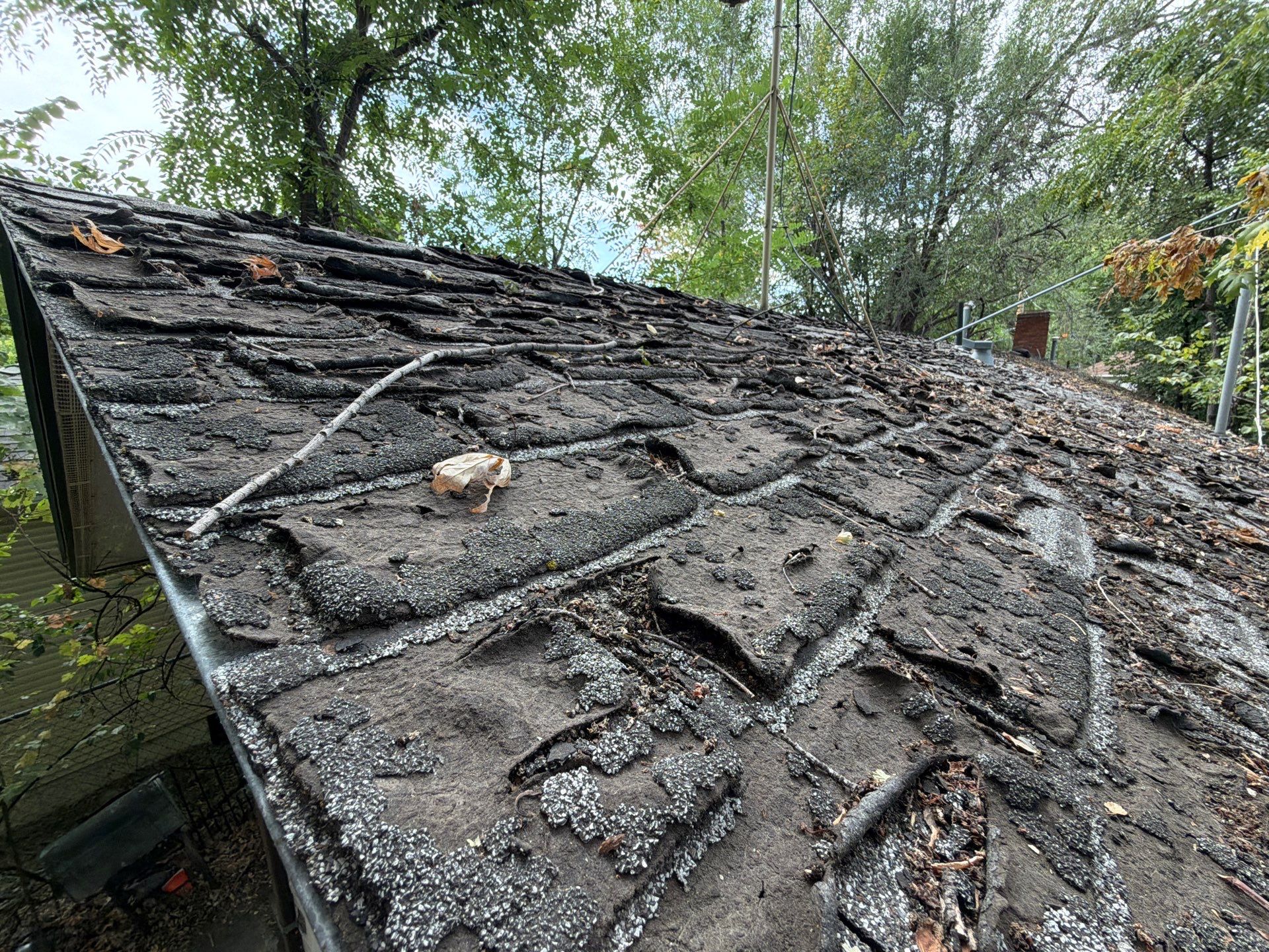 Boise Residential Roof Replacement Featuring Architectural Shingles and New Decking by Olive Roofing