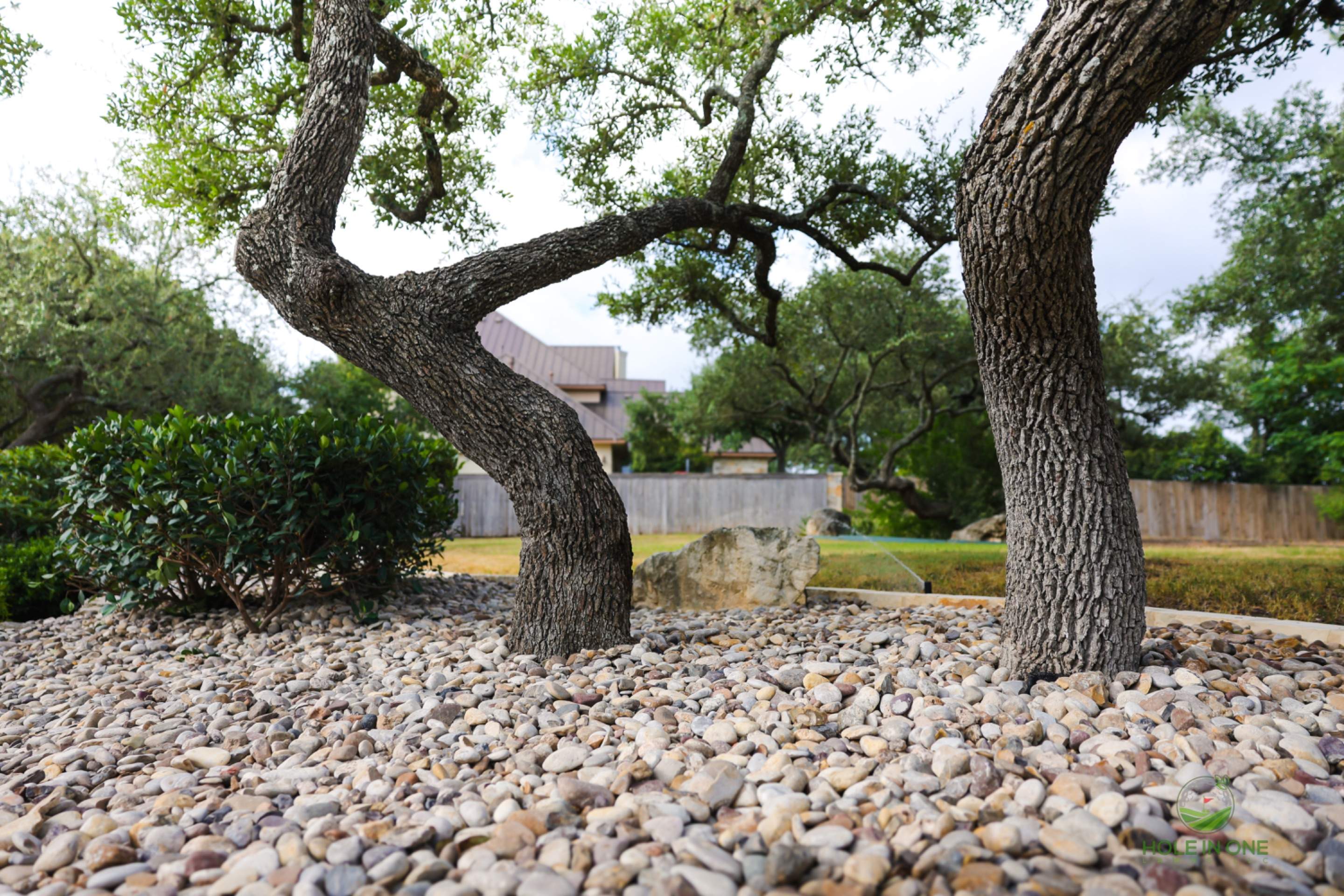 The Heights Of Stone Oaks, San Antonio Tx. by Hole In One Lawns, LLC