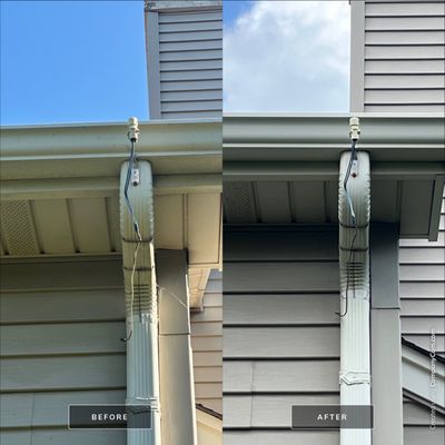 Project in Algonquin