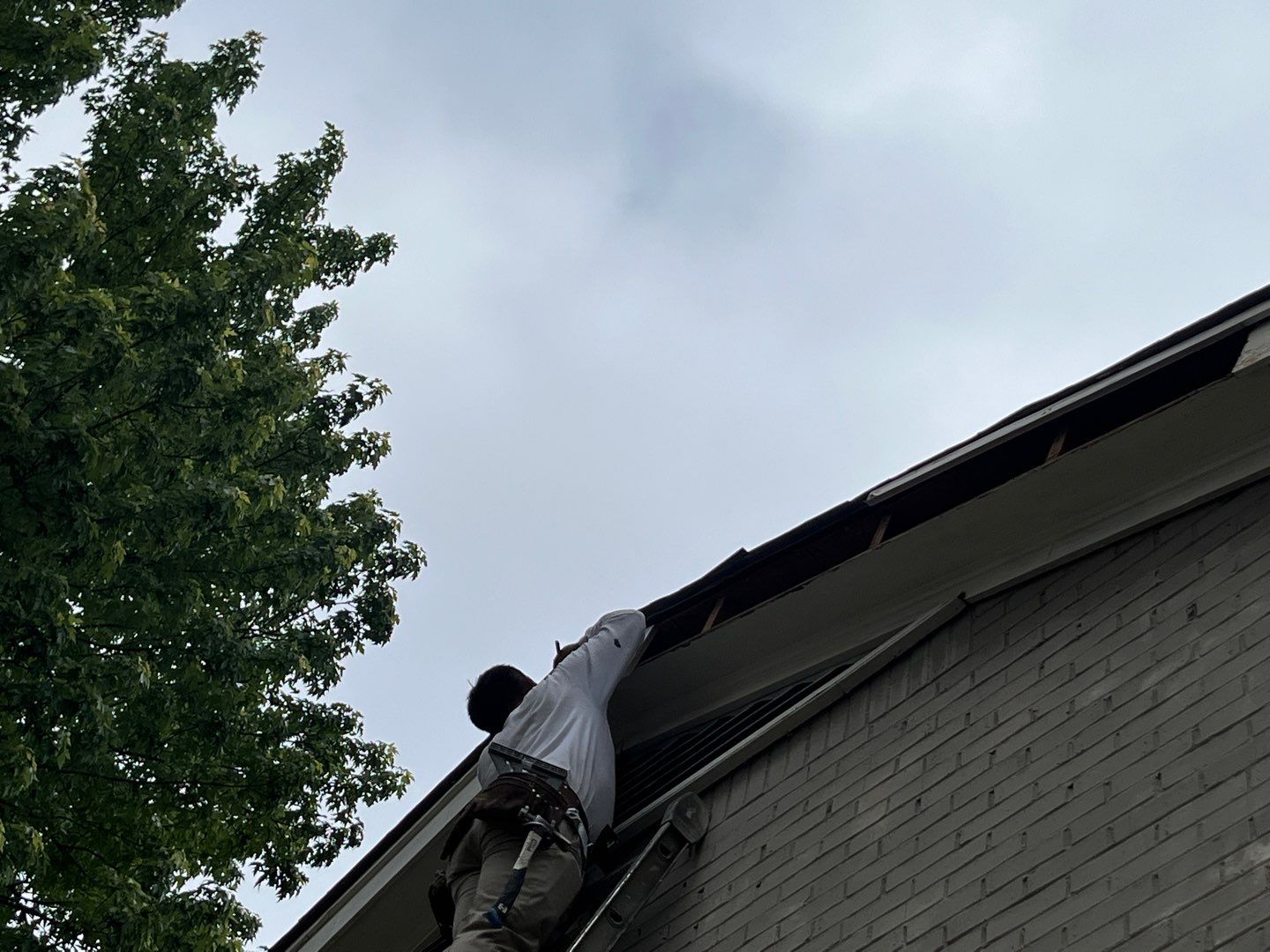 Shingle Replacement in Vestavia Hills (Charcoal) by The Roofing Dudes
