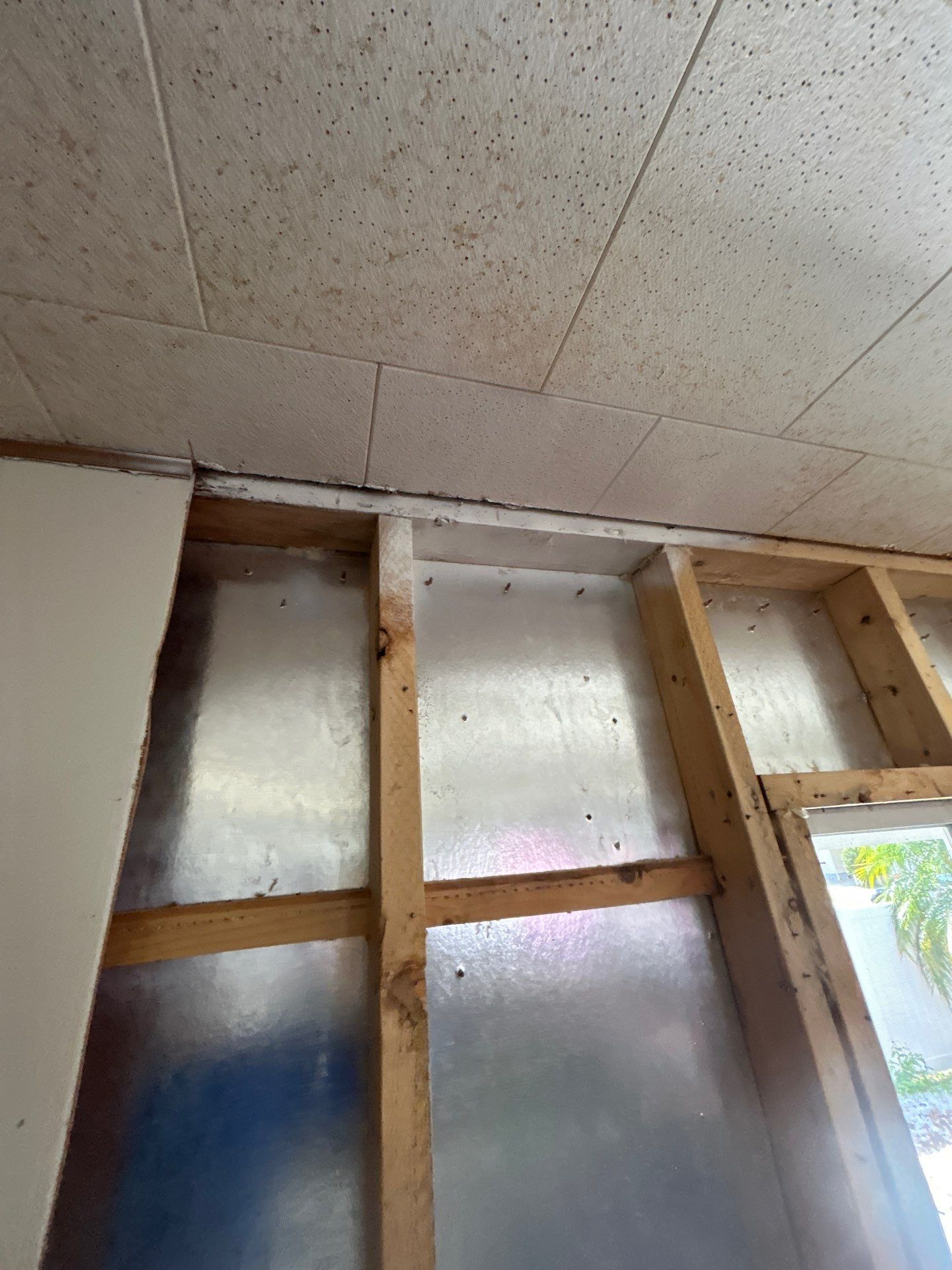 Mold Remediation Bradenton by Ampm Restoration Services 
