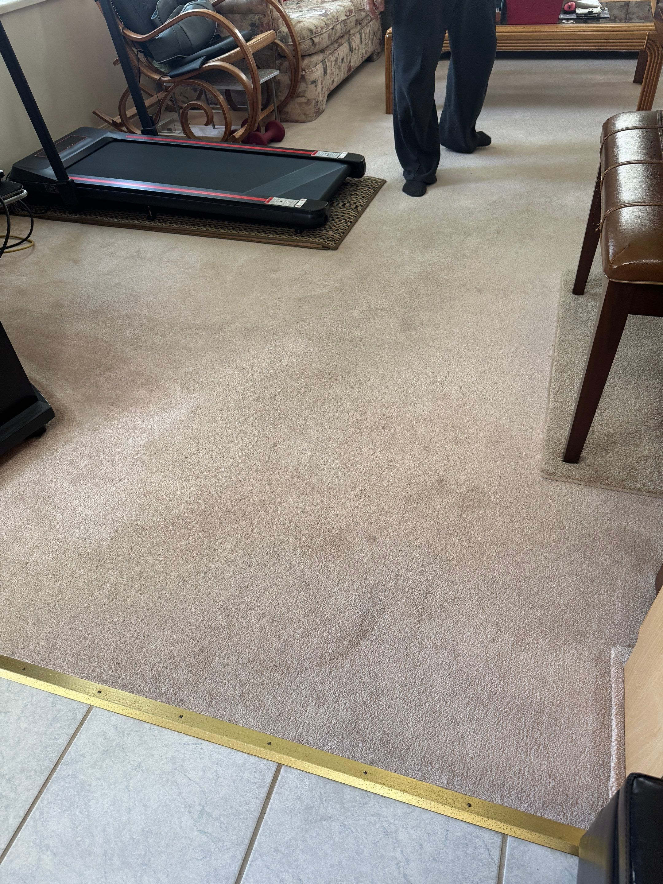 Transform Carpet Flooring To Laminate by YVR Construction Group