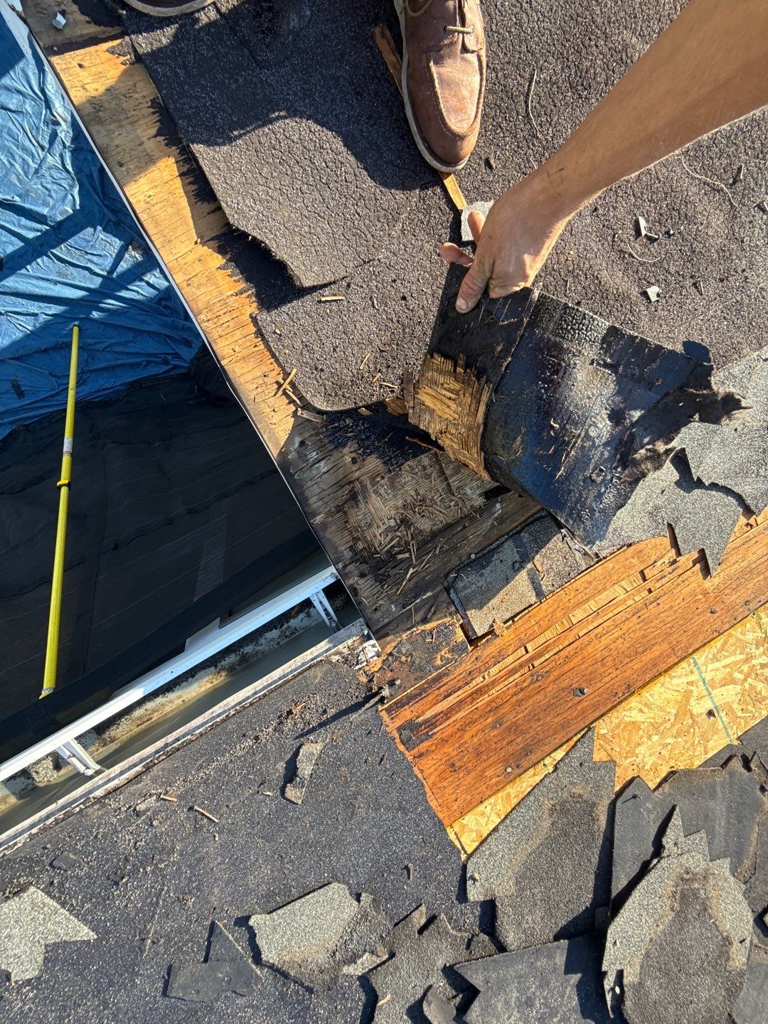 Roof Replacement using Owens Corning Tru Definitions by 180 Contractors