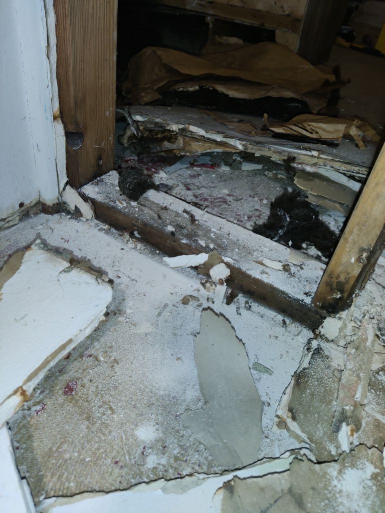 Mold Remediation in Basement by Accountable Home Services
