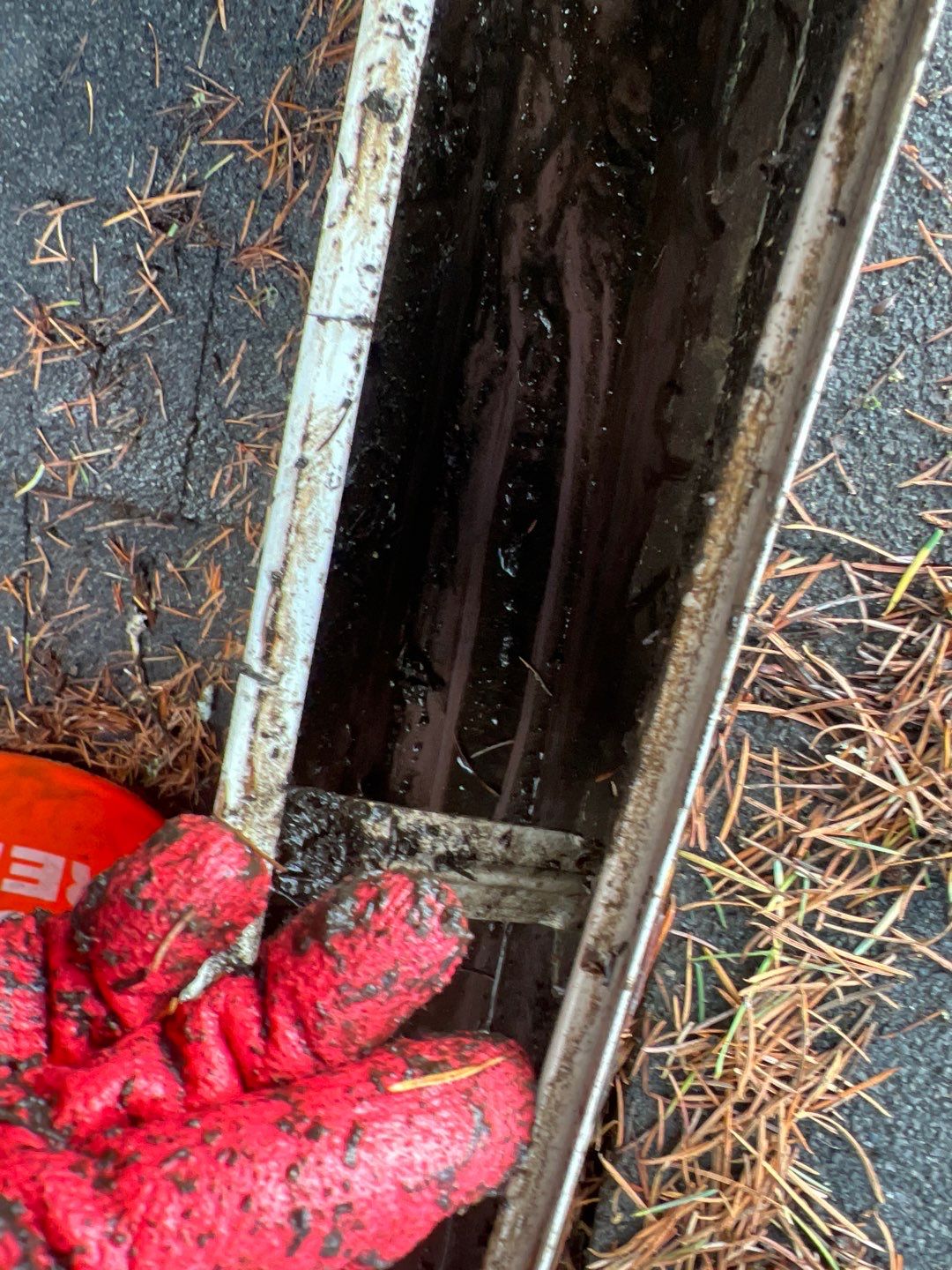 Home Claening Project in Lake Oswego by Cloud 9 Professional Cleaning Services