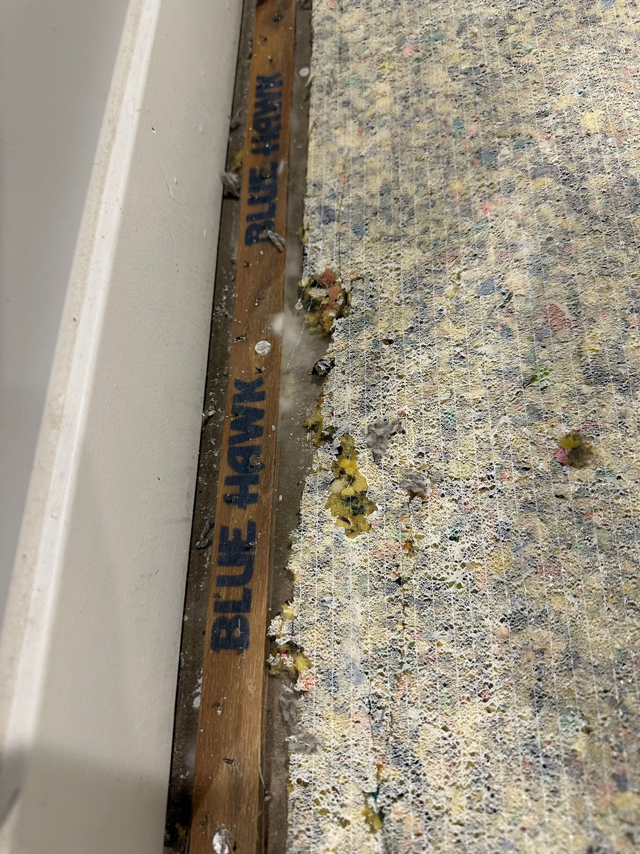 Basemen Oder removal with mold remediation and carpet pad replacement by BlueRed Restoration