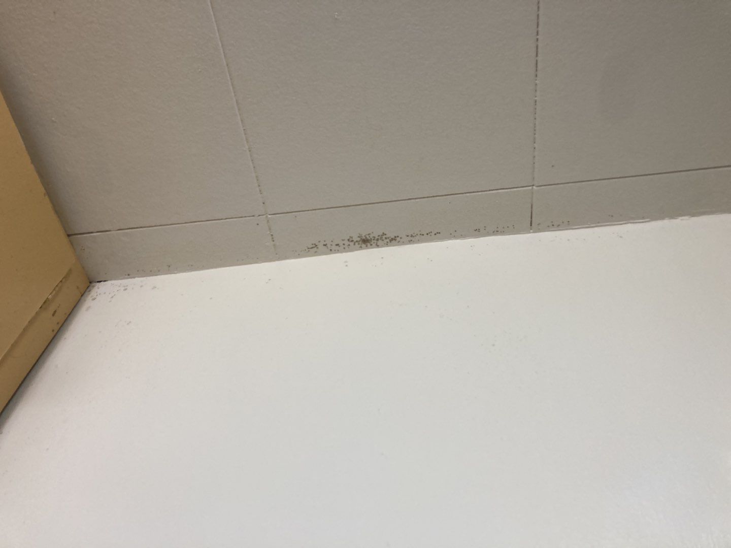 Water Damage in Bathroom by Accountable Home Services