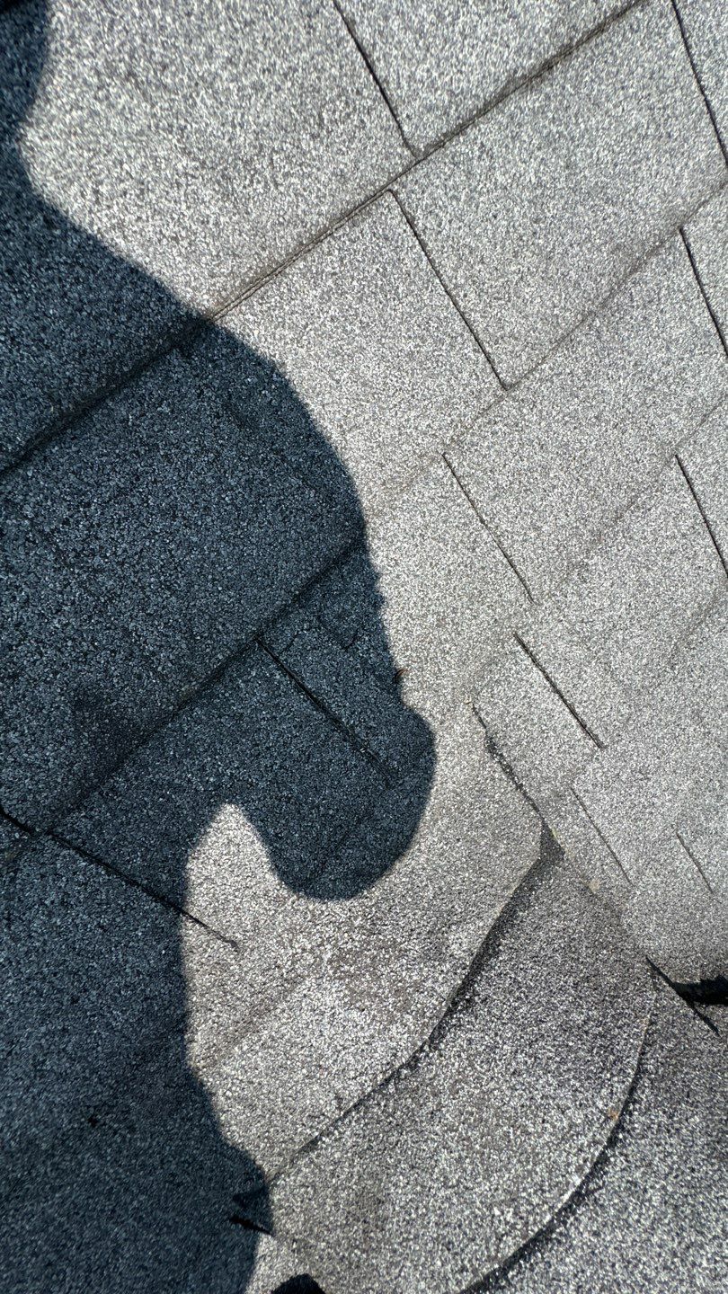 Falls Church: Roof Replacement with CertainTeed Landmark Pro in Max Def Pewterwood by RM Banning, Inc.