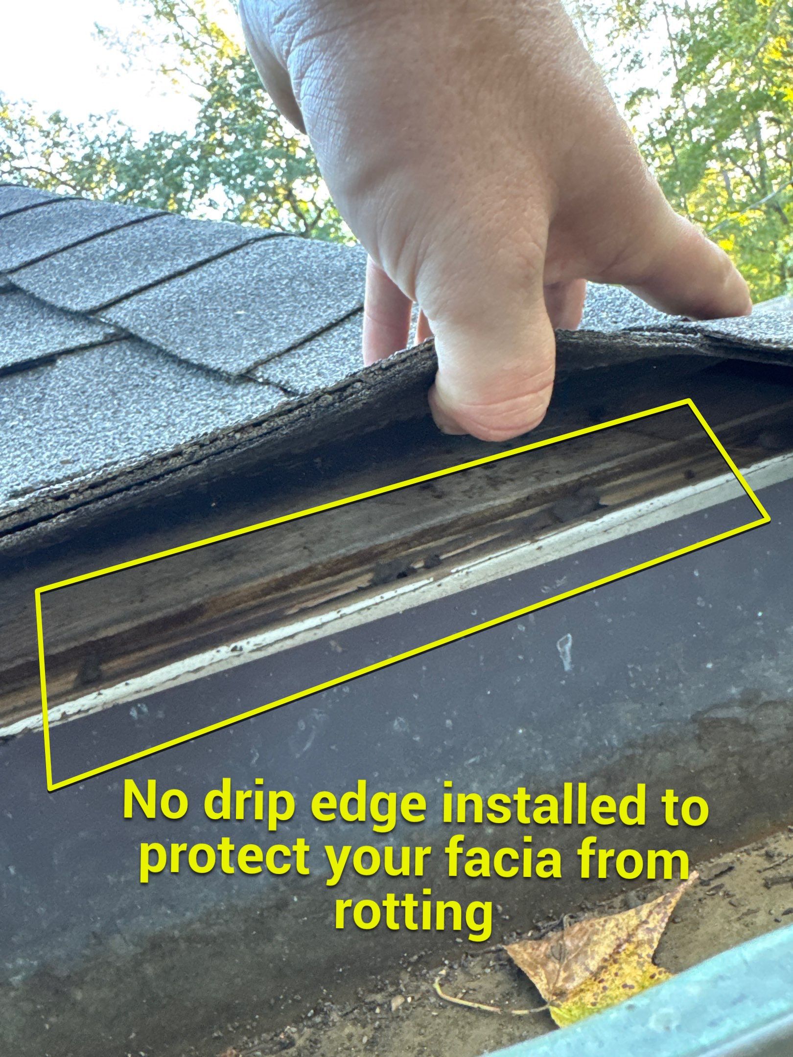 Chyleen Feagin by Tru-Built Roofing