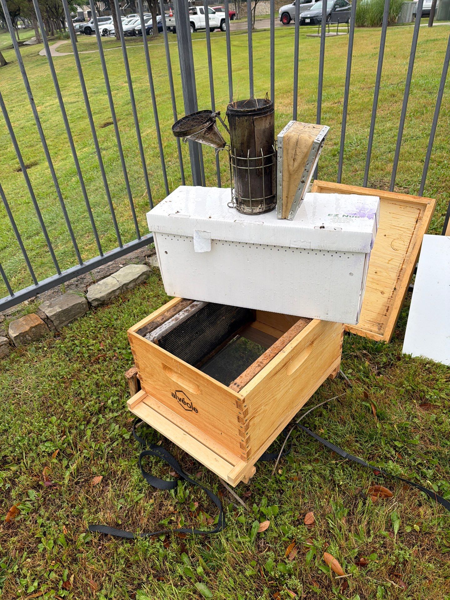 Poolside Bees at Apartment Complex by Rockwall Honey Bee Company