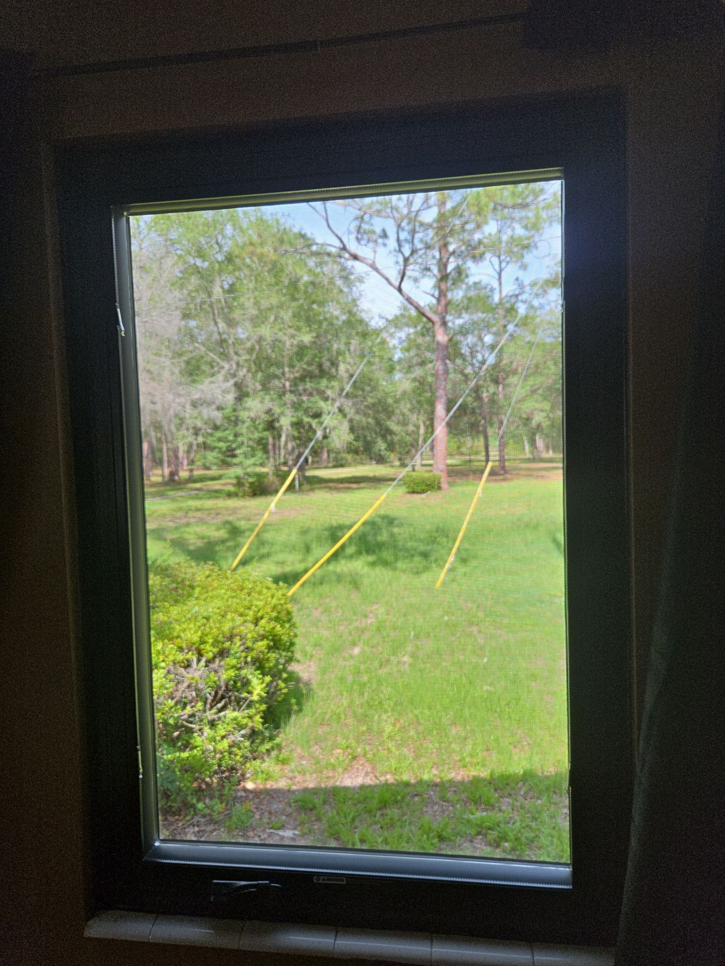 Residential Window Replacement and Custom Trim Installation in Chiefland by Windows & Doors Store