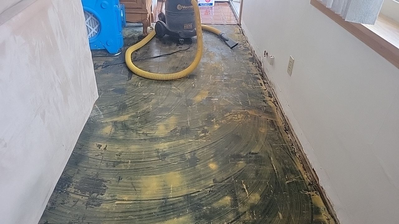 Water Damage by Accountable Home Services