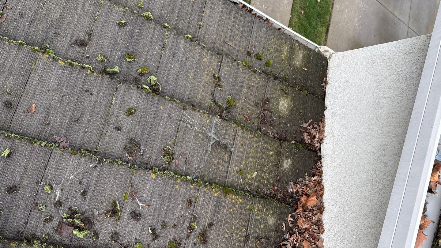 Project by NuLead Construction Inc by NuLead Construction Inc