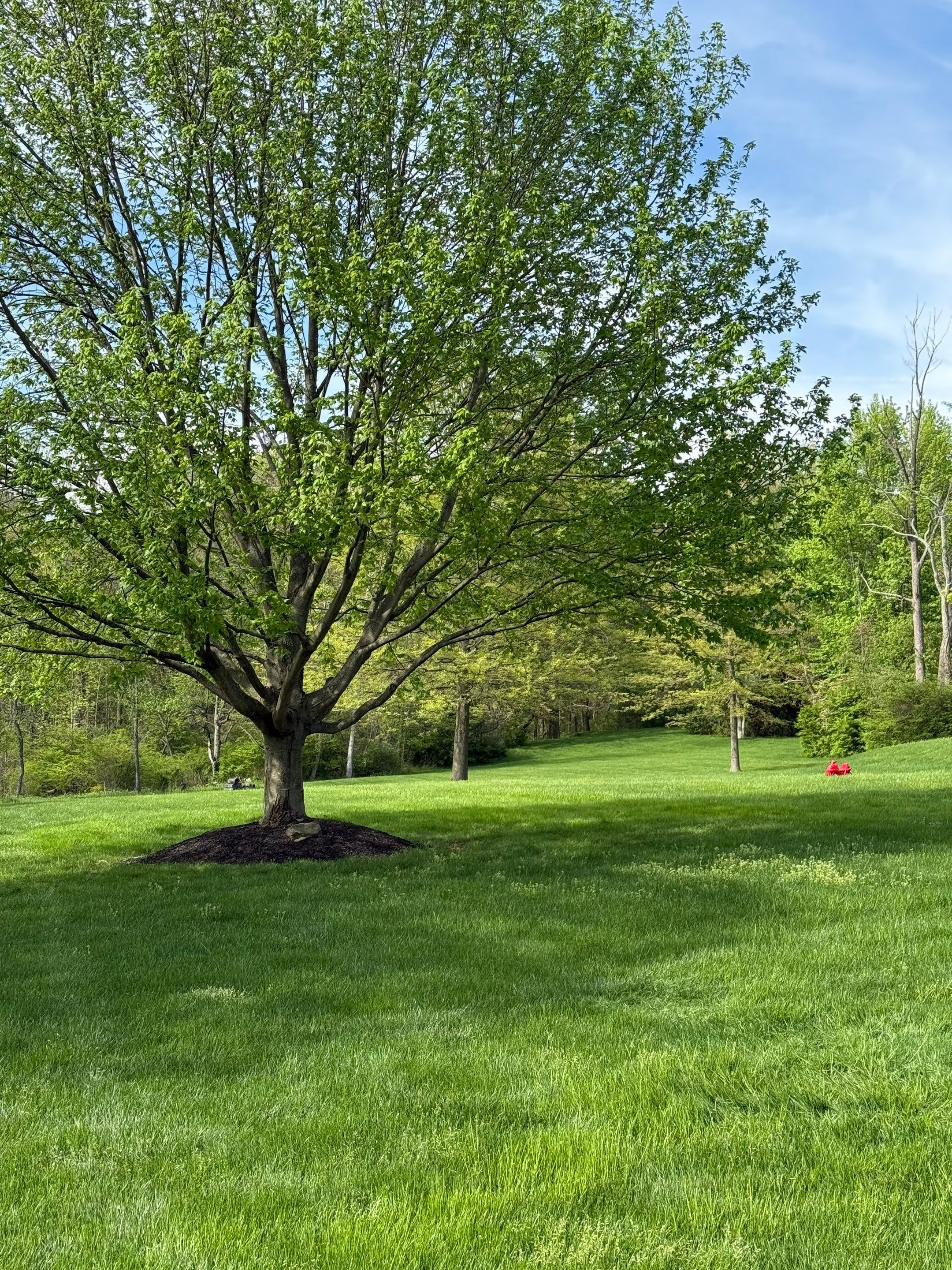 Acreage Maintenance Project by Elm Rose Gardens