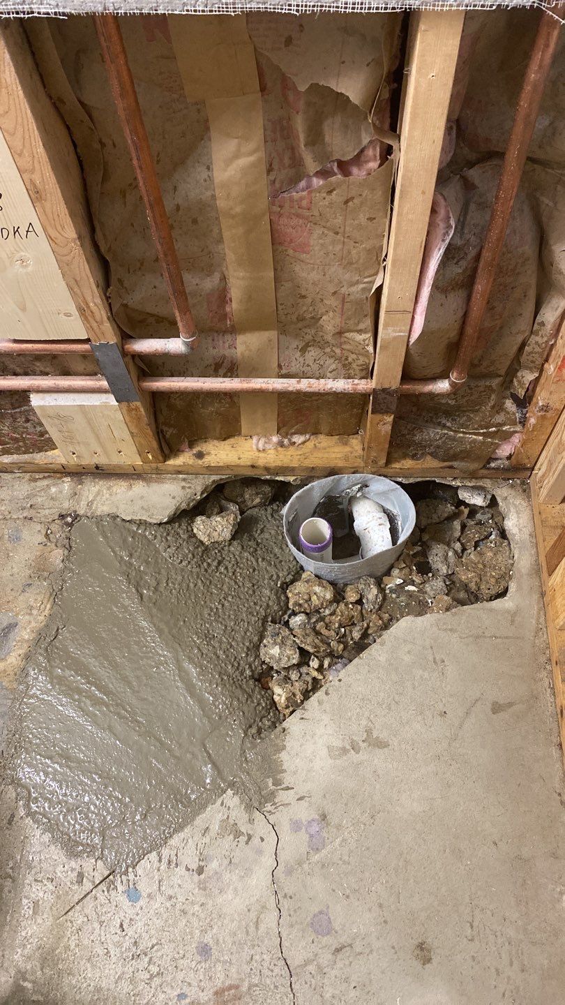 Home Renovation - Bucktown by Punch List