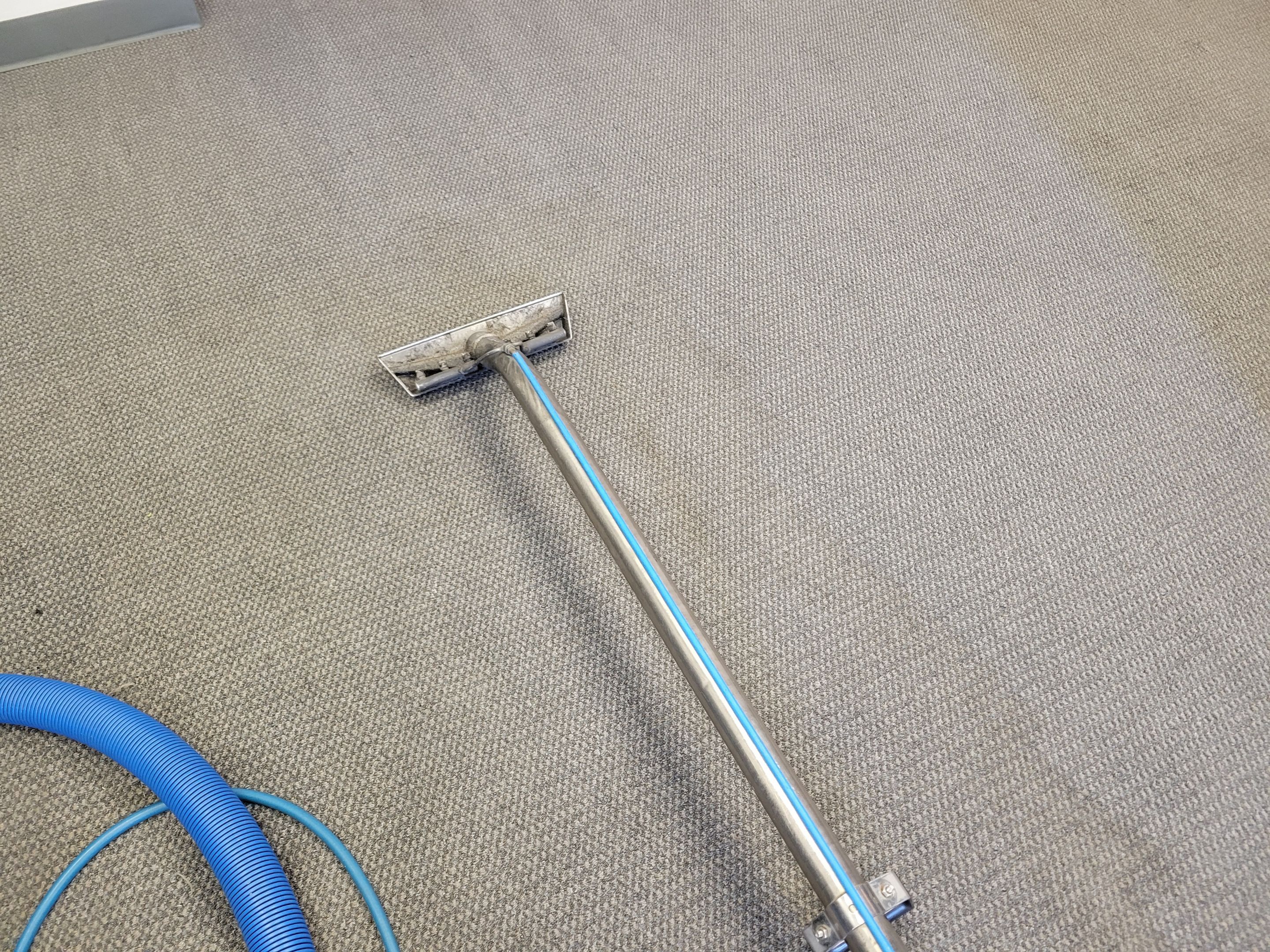 Commercial Carpet Cleaning, Quarterly by Ardent Carpet Restore LLC