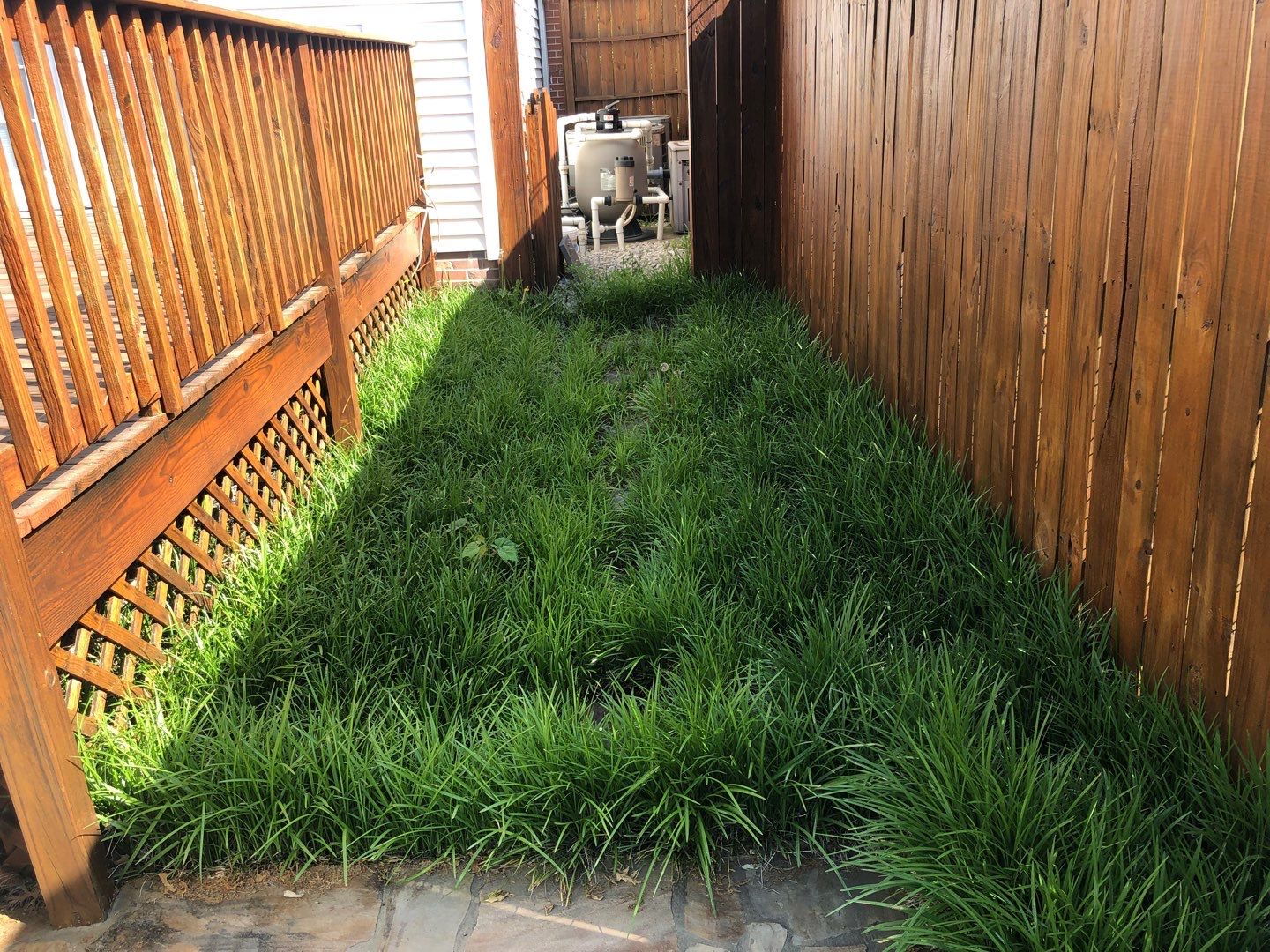 Liriope grasses, mulch and stone pavers by GrassBusters, Inc.