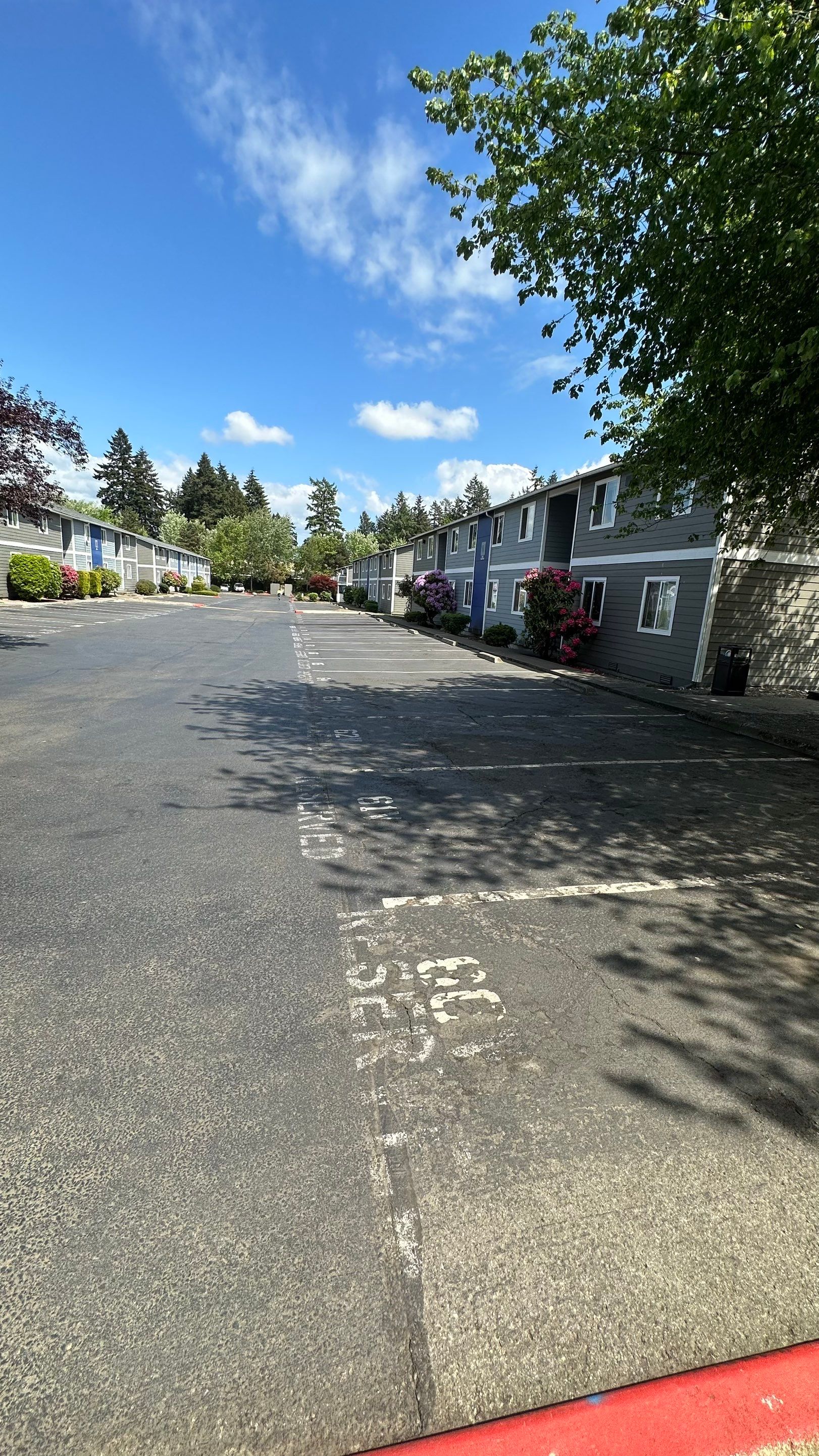 Chaz | Driveway Repave, Asphalt Project  by Jireh Asphalt & Concrete Inc 