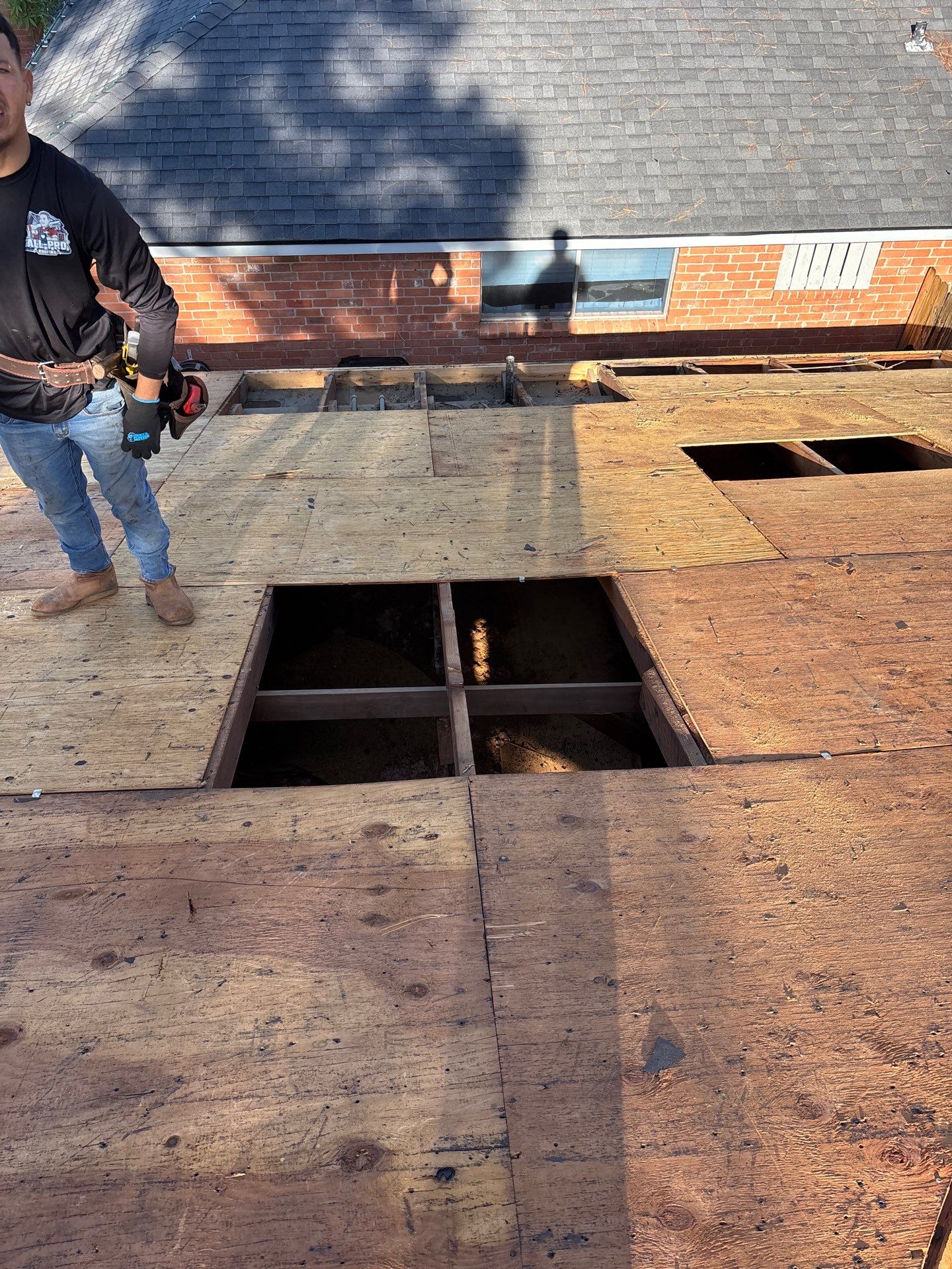Roof Replacement Spring by Roof Repair Company