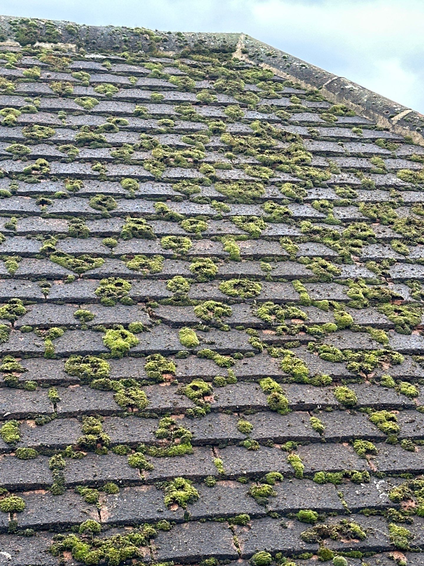 Roof And Driveway Clean by Ges Exterior Cleaning ltd