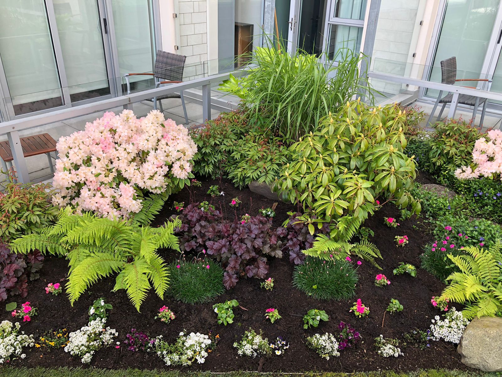 Sidney Pier by Habanero Garden and Exterior Care