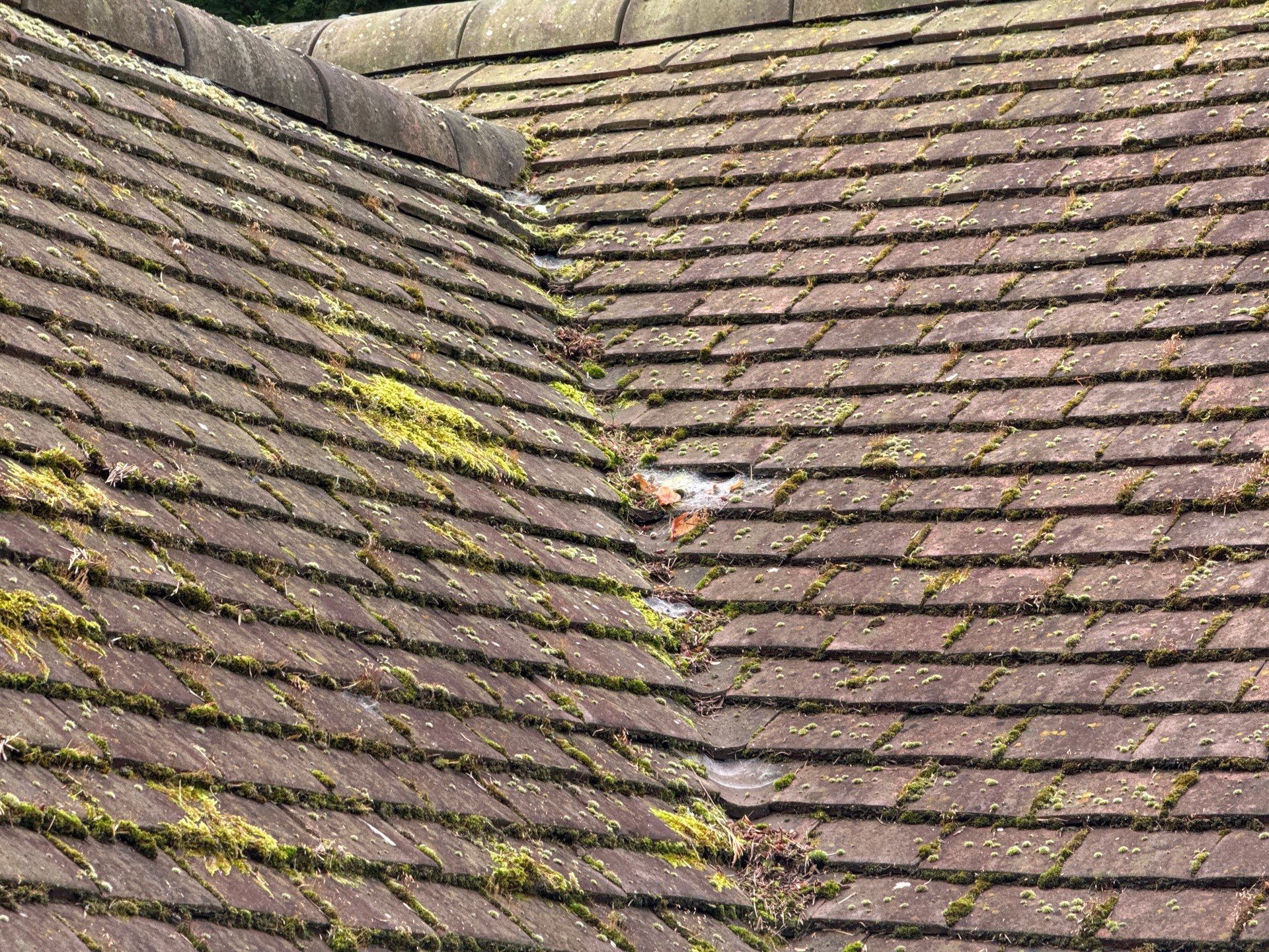 Roof Cleaning by Ges Exterior Cleaning ltd