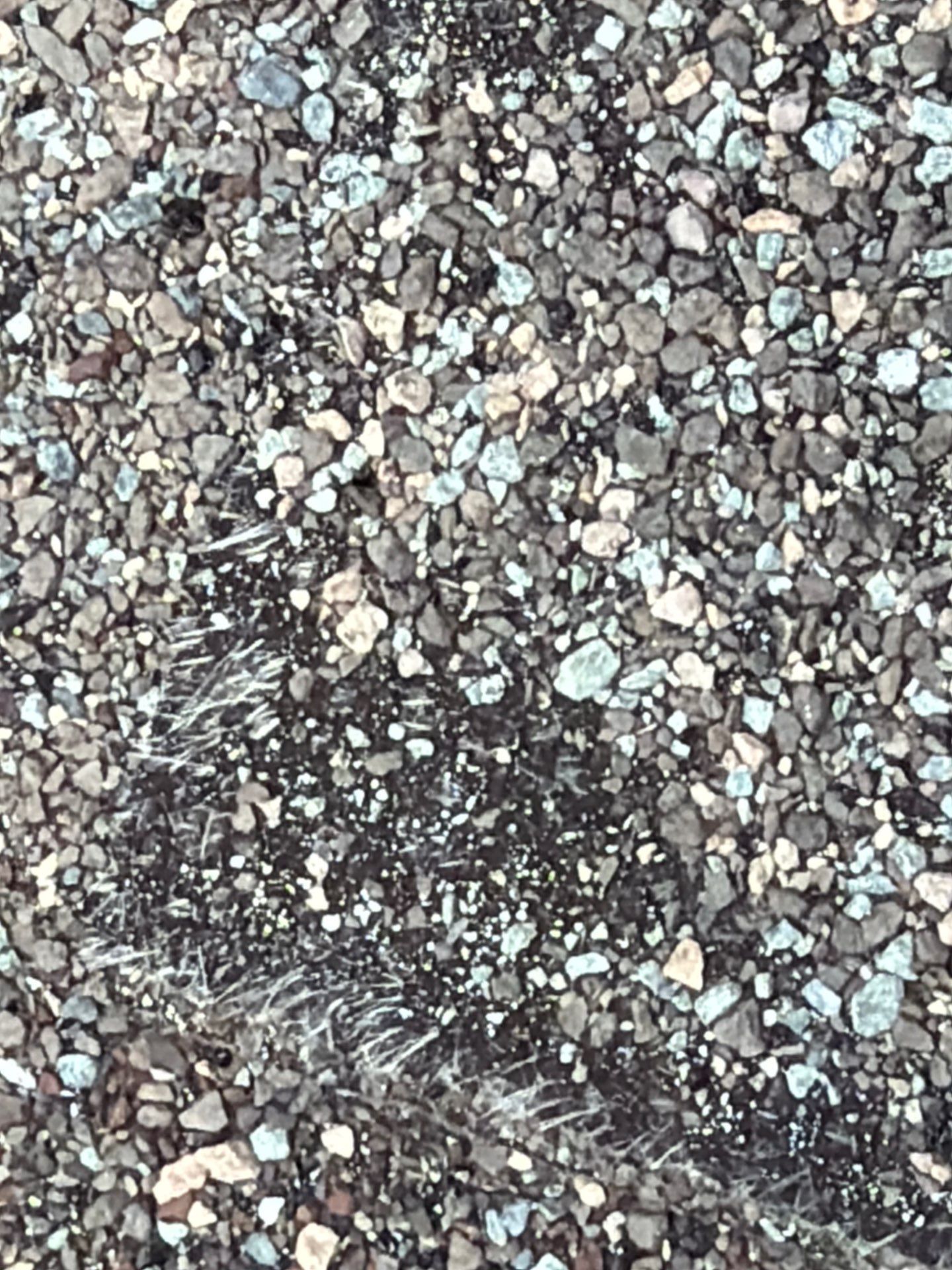 Hanley Downs Neighborhood – Comprehensive Roof Inspection by Acute Roofing And Exteriors 