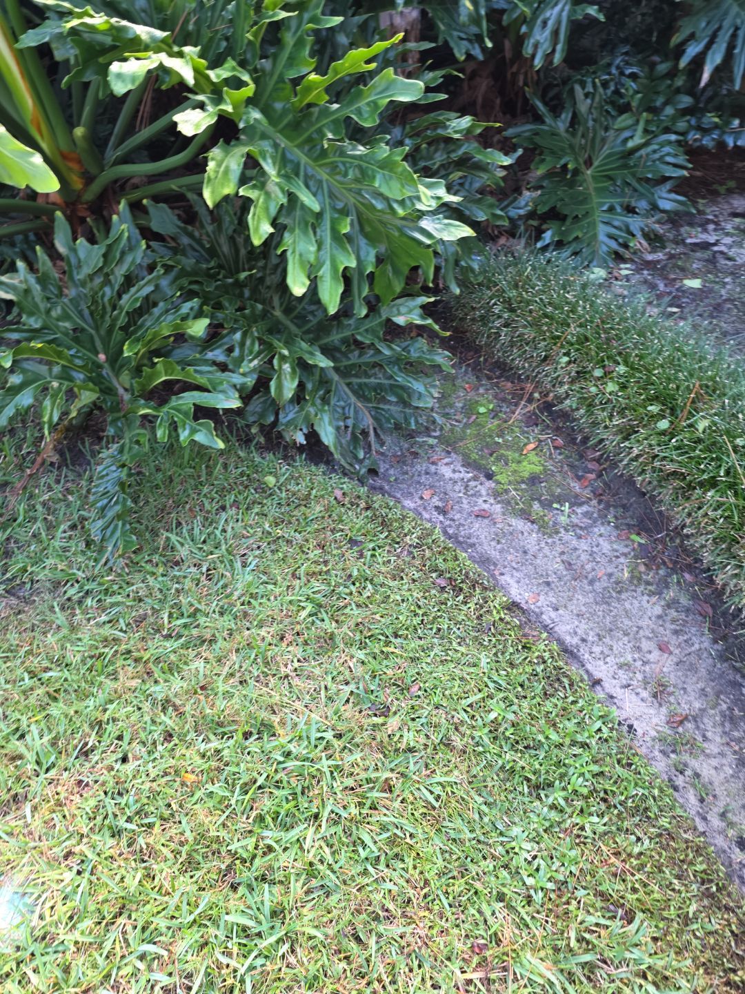 Deerwood Resident | Freshen Up Project by ProGreen Services