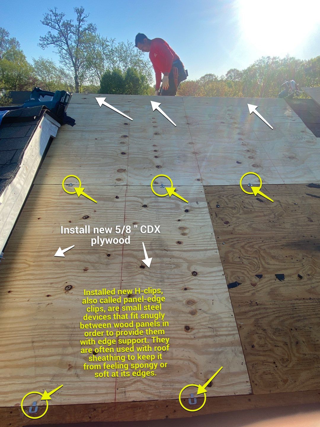 Roof Repair  by Alpha Design Services