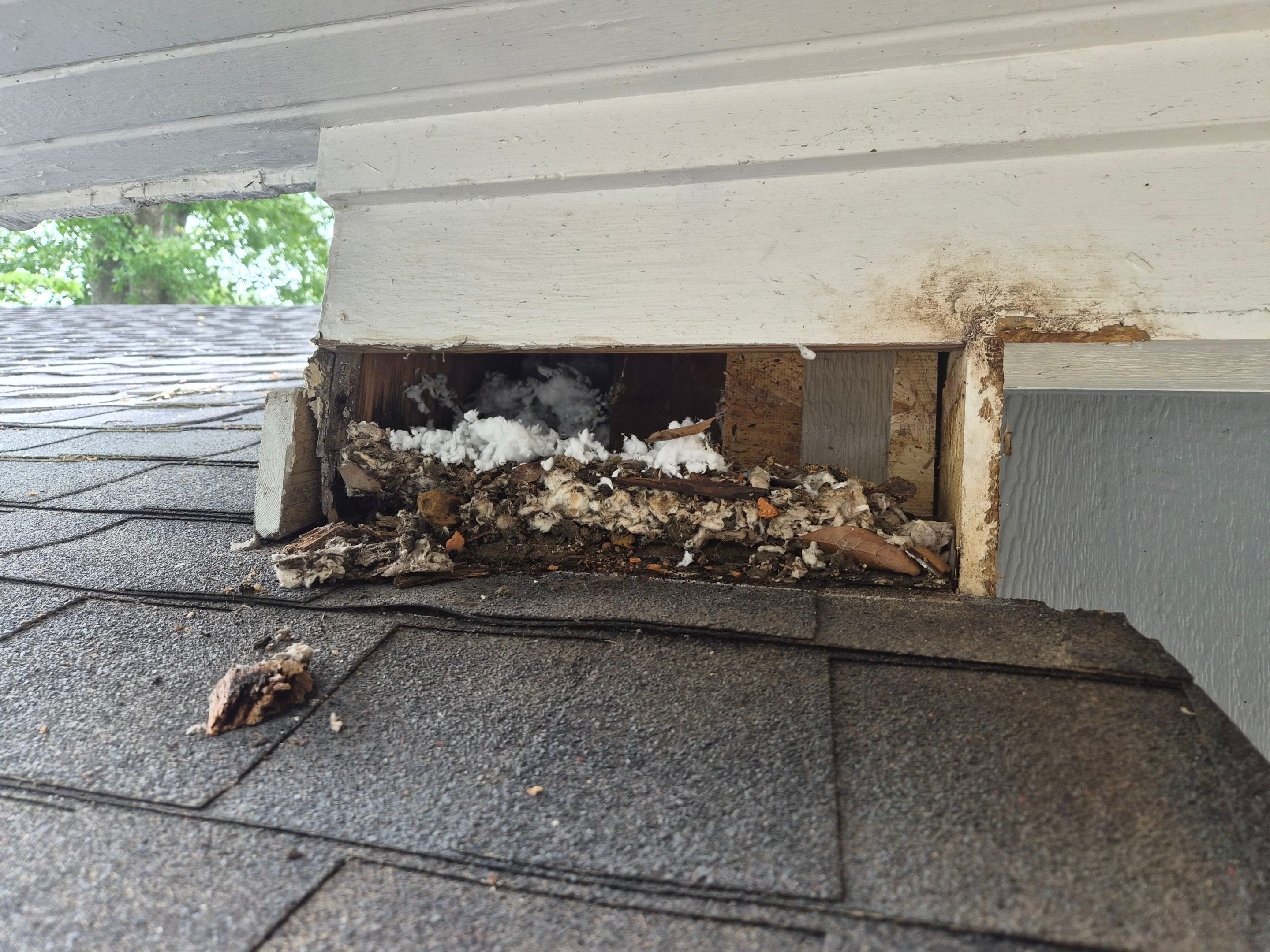 From Gray to Modern White: Exterior Repaint in Tyler, TX by Quality Coats Painting