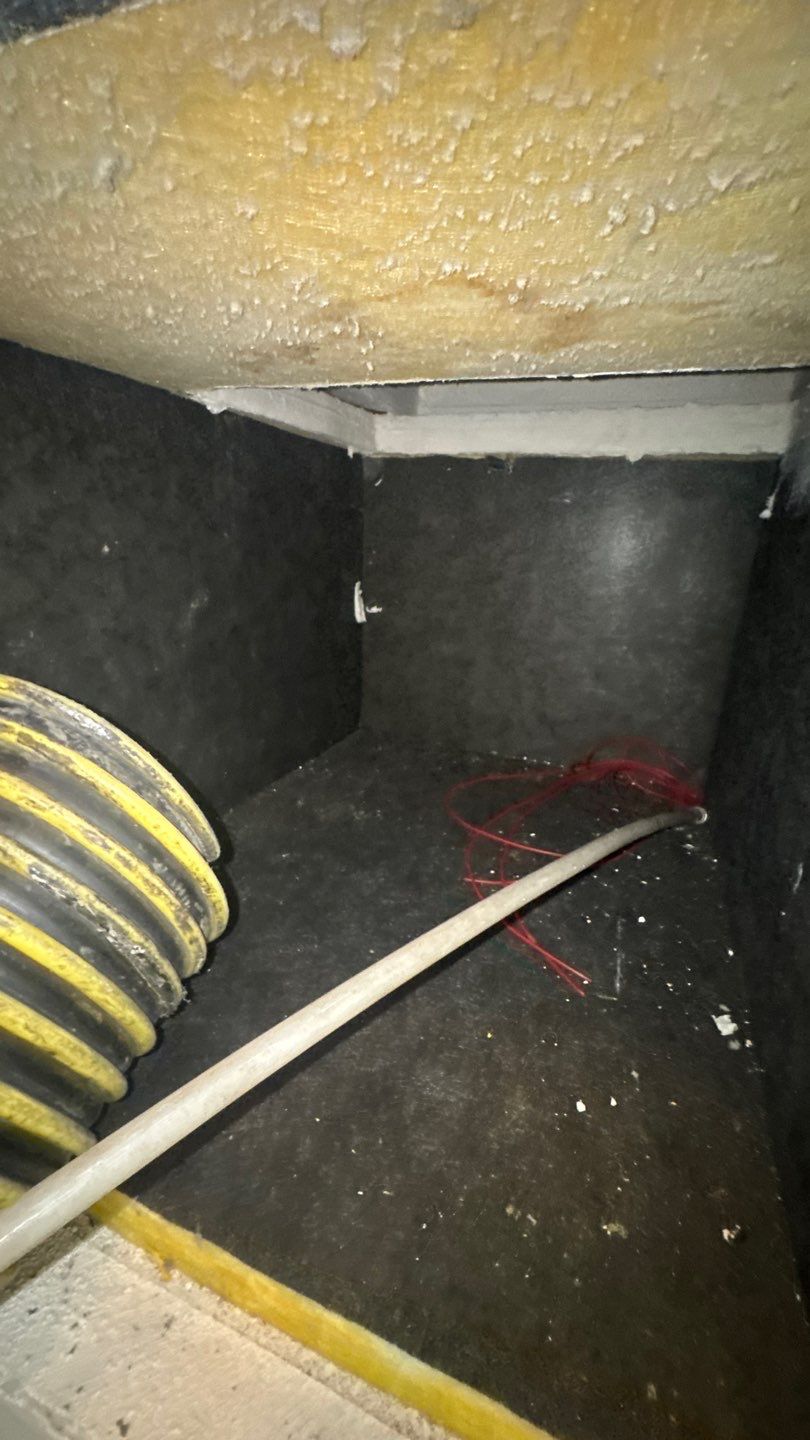 Air Duct and Dryer Vent Cleaning in Clermont by Hygienic Air, Inc