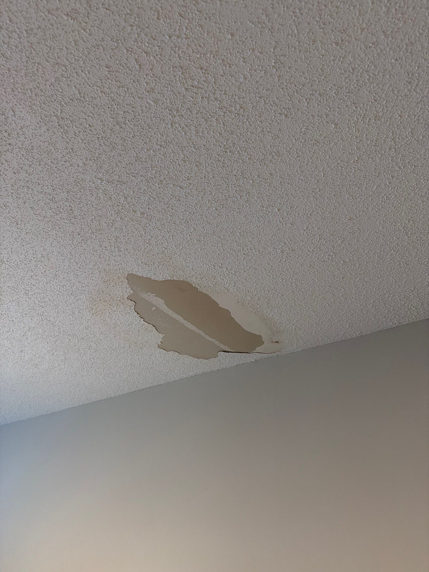 Residential - Virgina Beach  by Rodriguez Drywall And Paint 