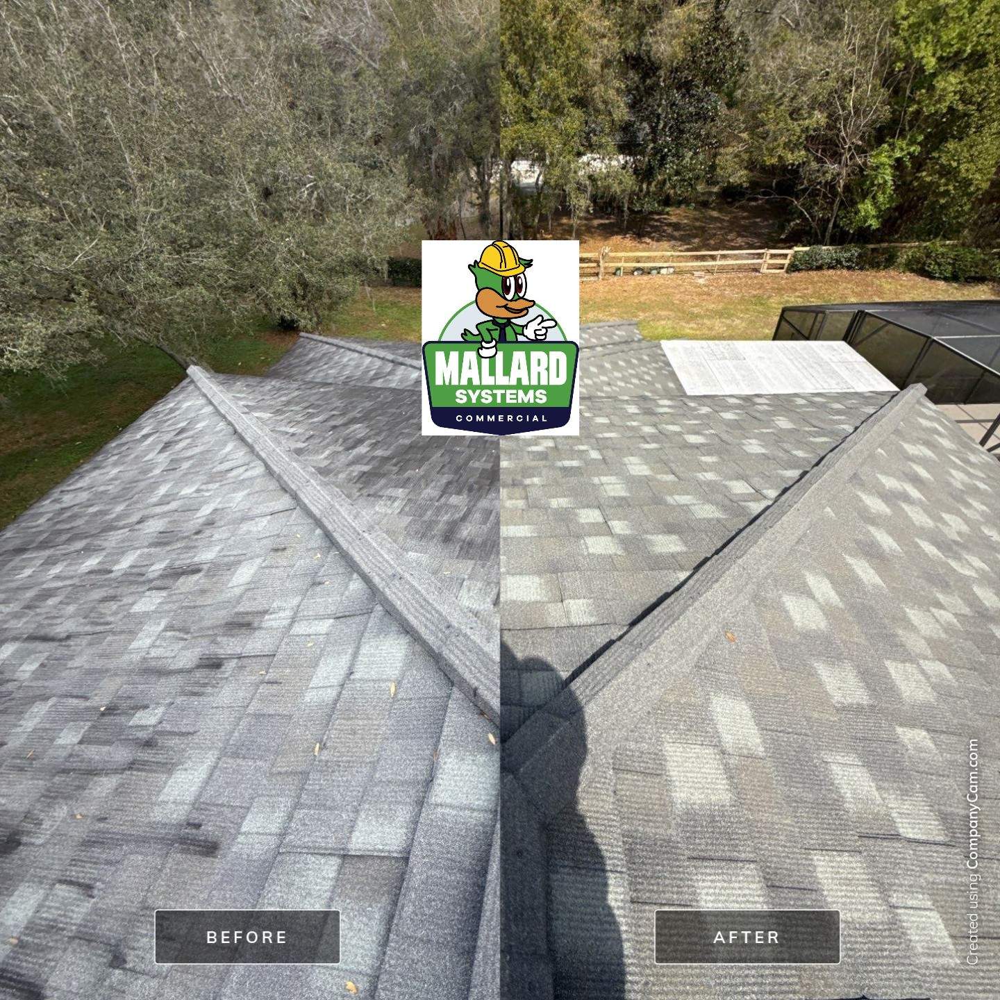 Stone-Coated Metal Roof Cleaning by Mallard Systems