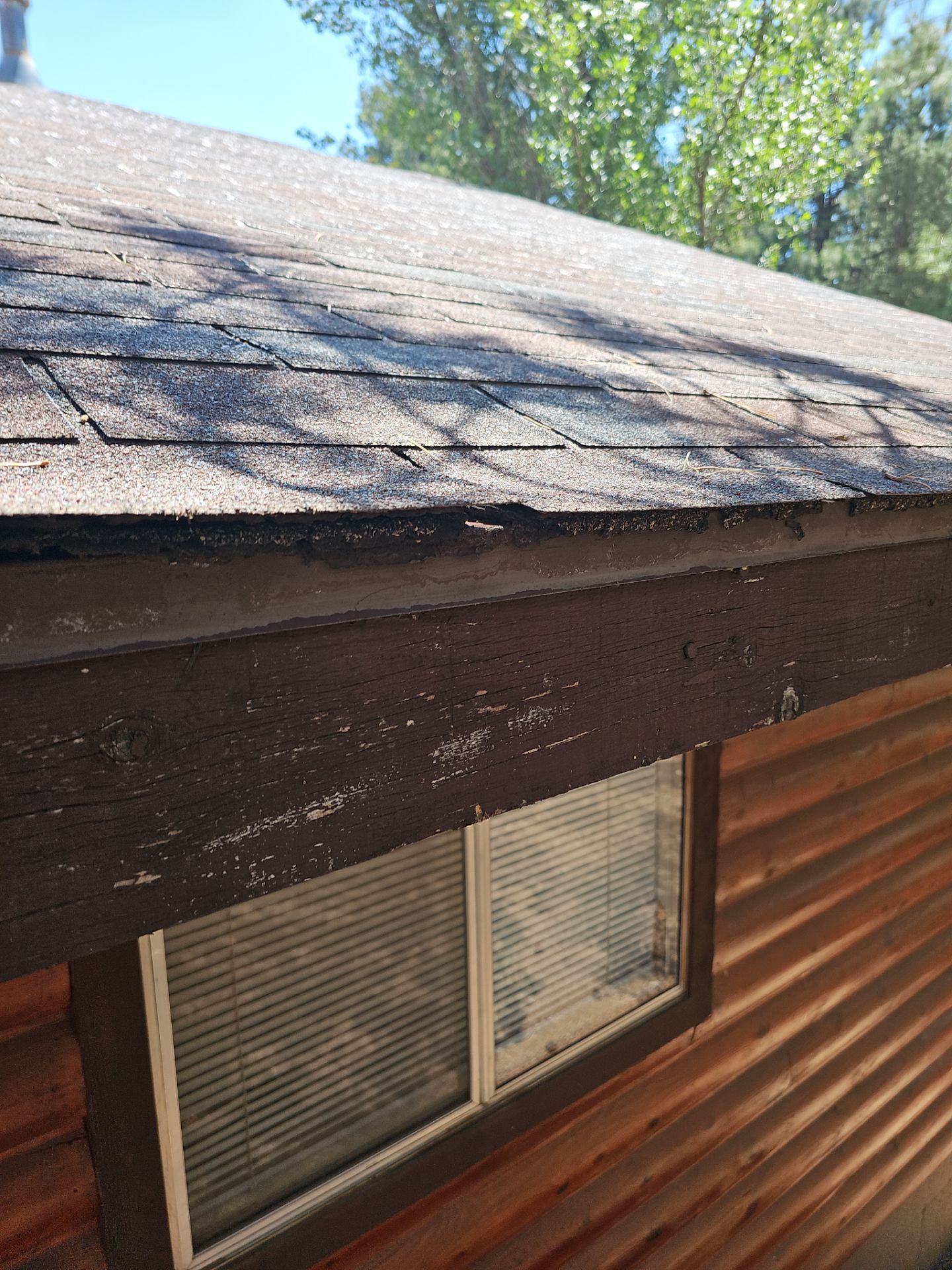 Malarkey Shingles in Arizona by Weather-Tite Exteriors LLC