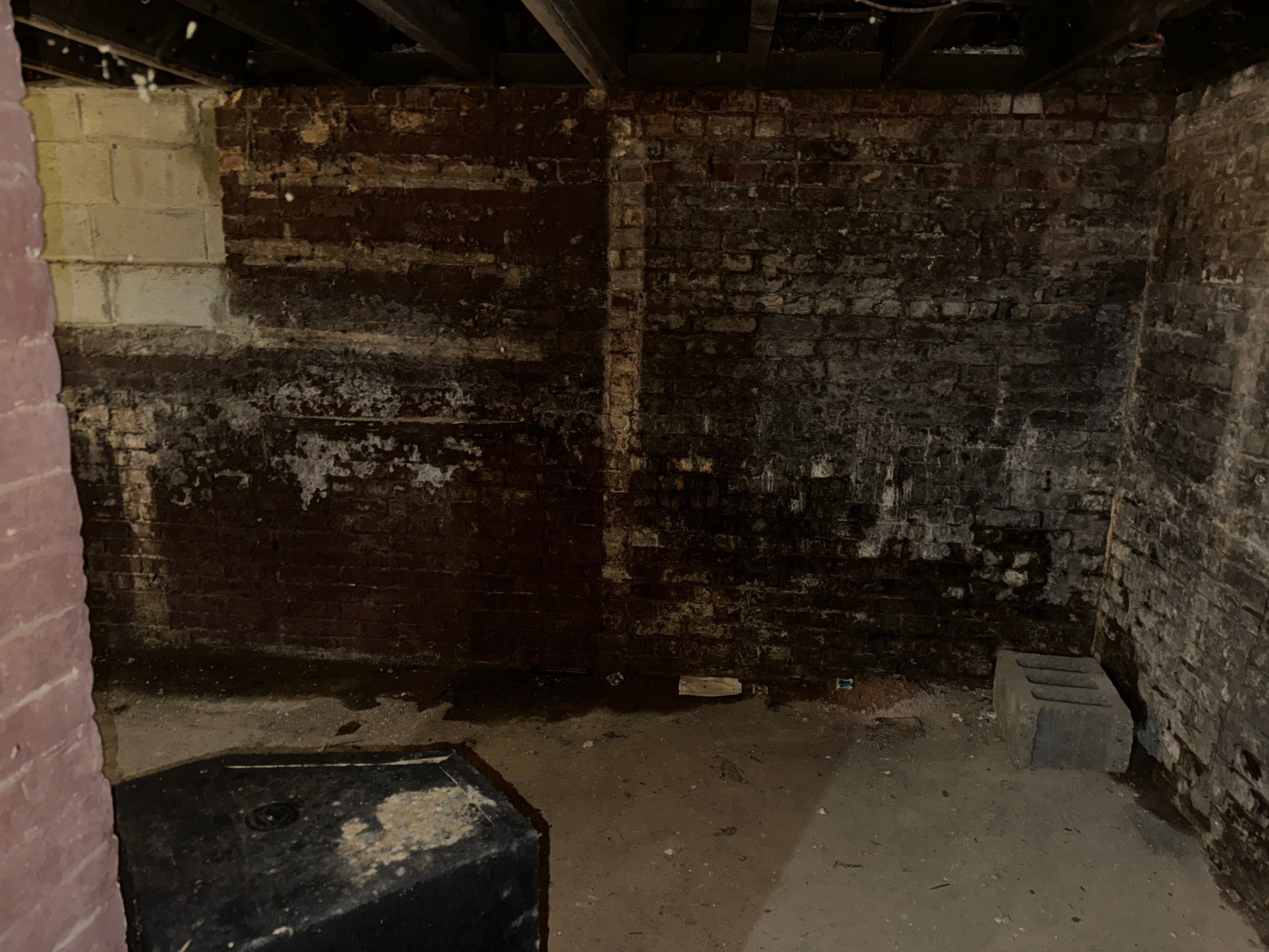 Interior French Drain & Wall Vapor Barrier in Newark, NJ  by Pure Service Pro, LLC 