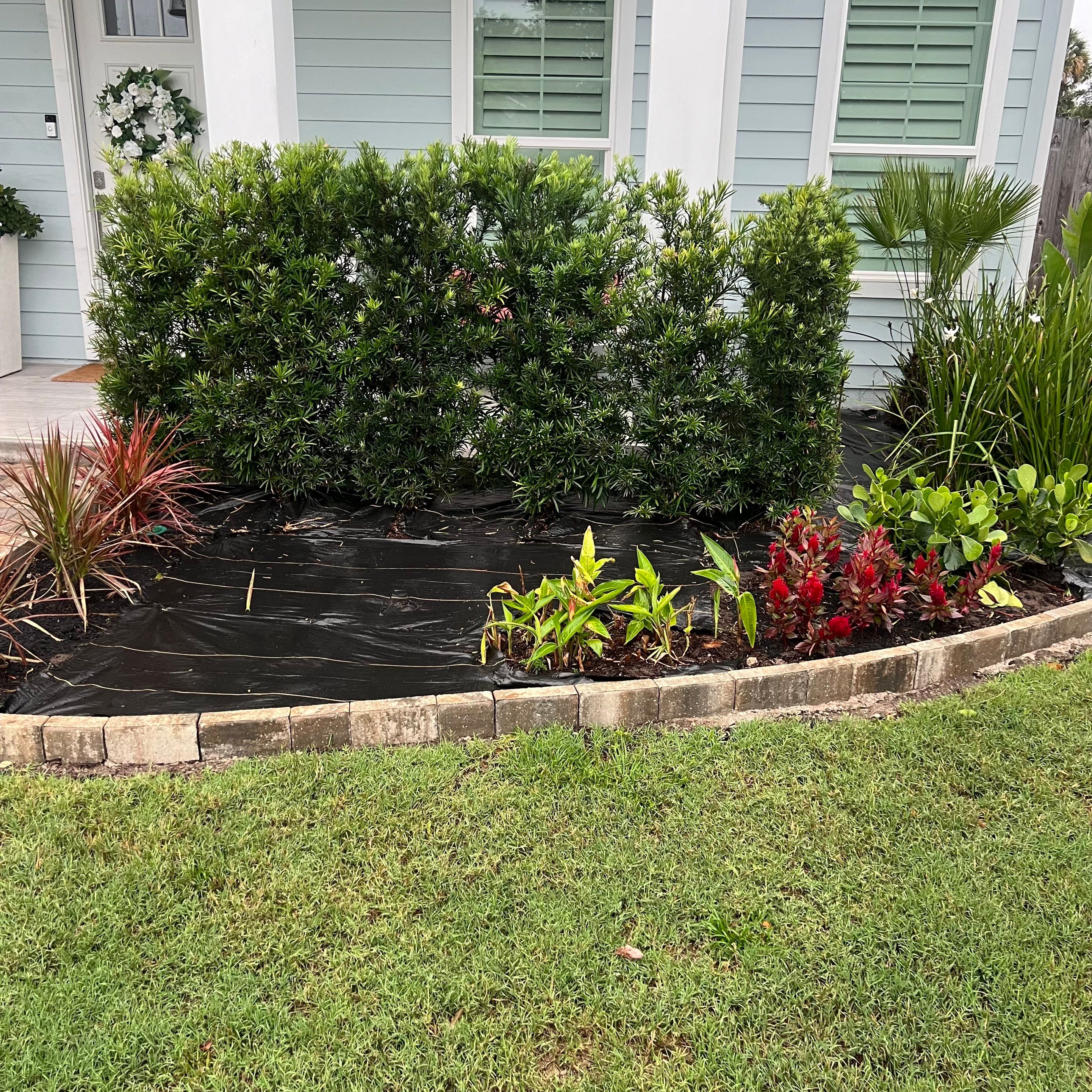 Rock & Agave Installation | Residential by ProGreen Services
