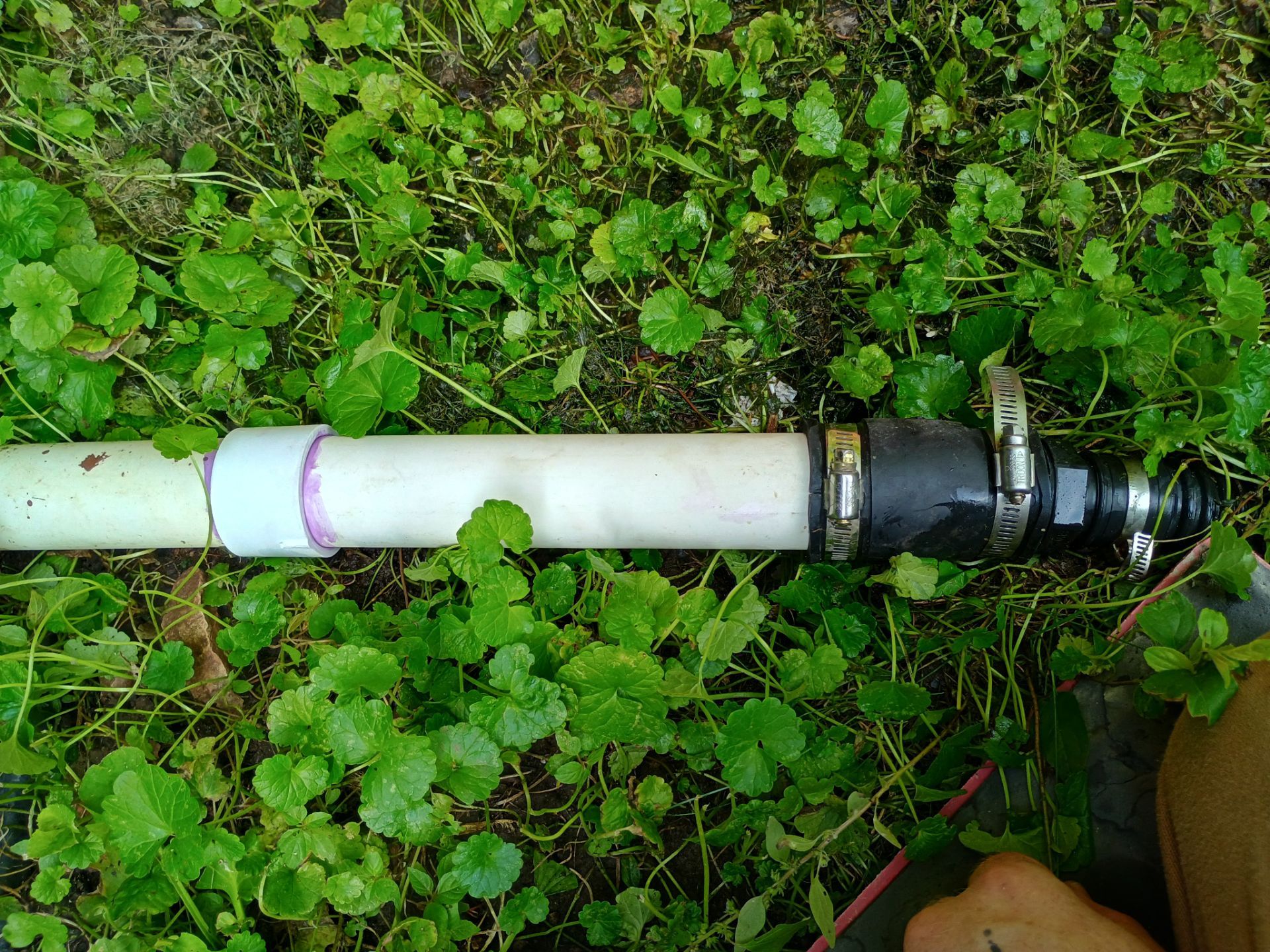 Sump Pump & Discharge Upgrade in St. Anthony, MN by Waterproofing Northeast