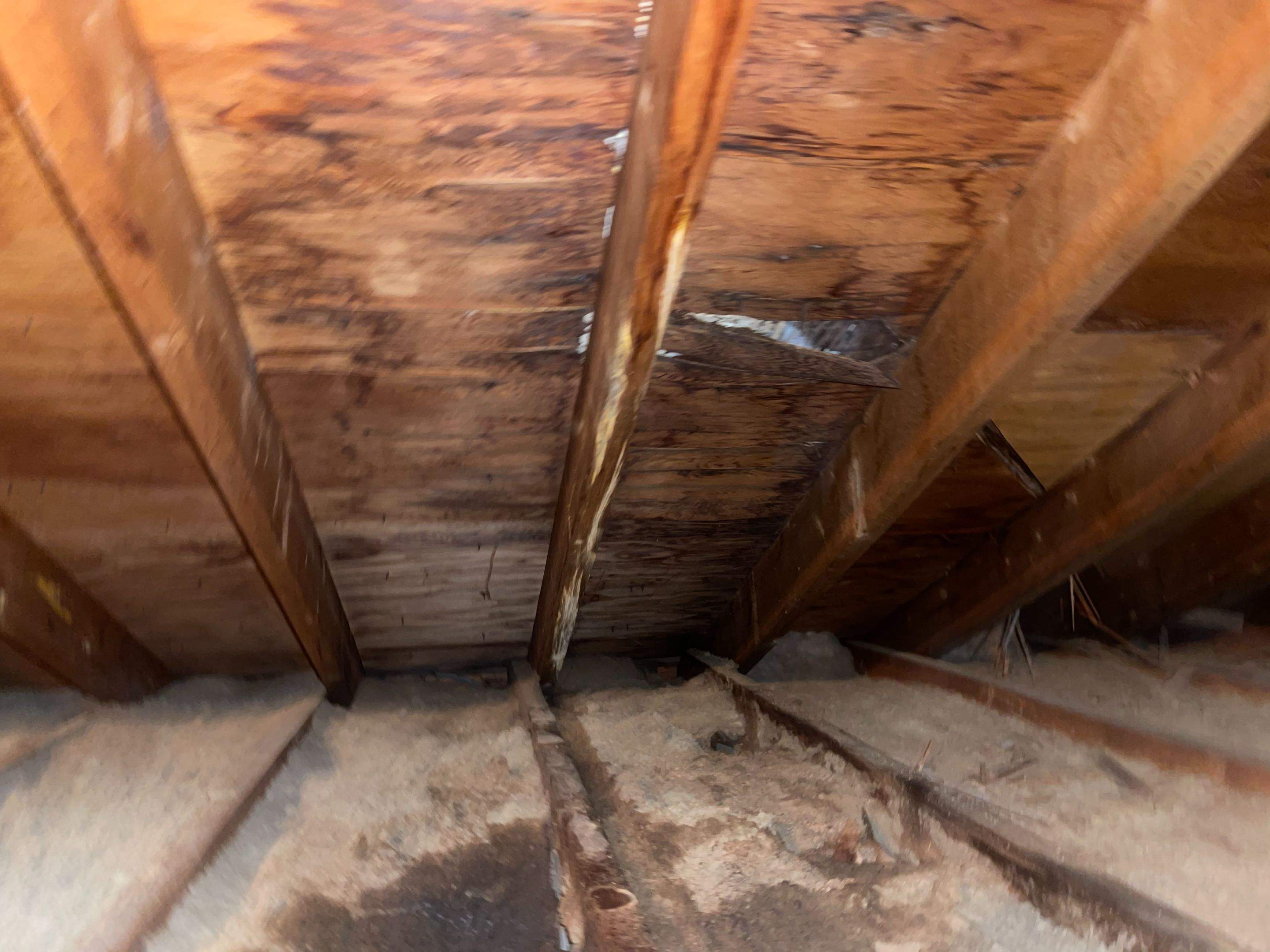 Residential Roofing Installation using Owens Corning TruDefinition Amber by A Plus Exterior