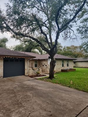 Antique Brown - Malarkey Highlander