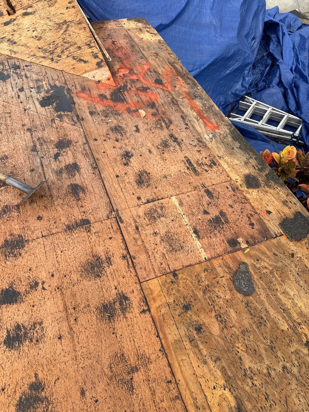 Project in St. Petersburg 33710 by Mitchell Roofing Company LLC