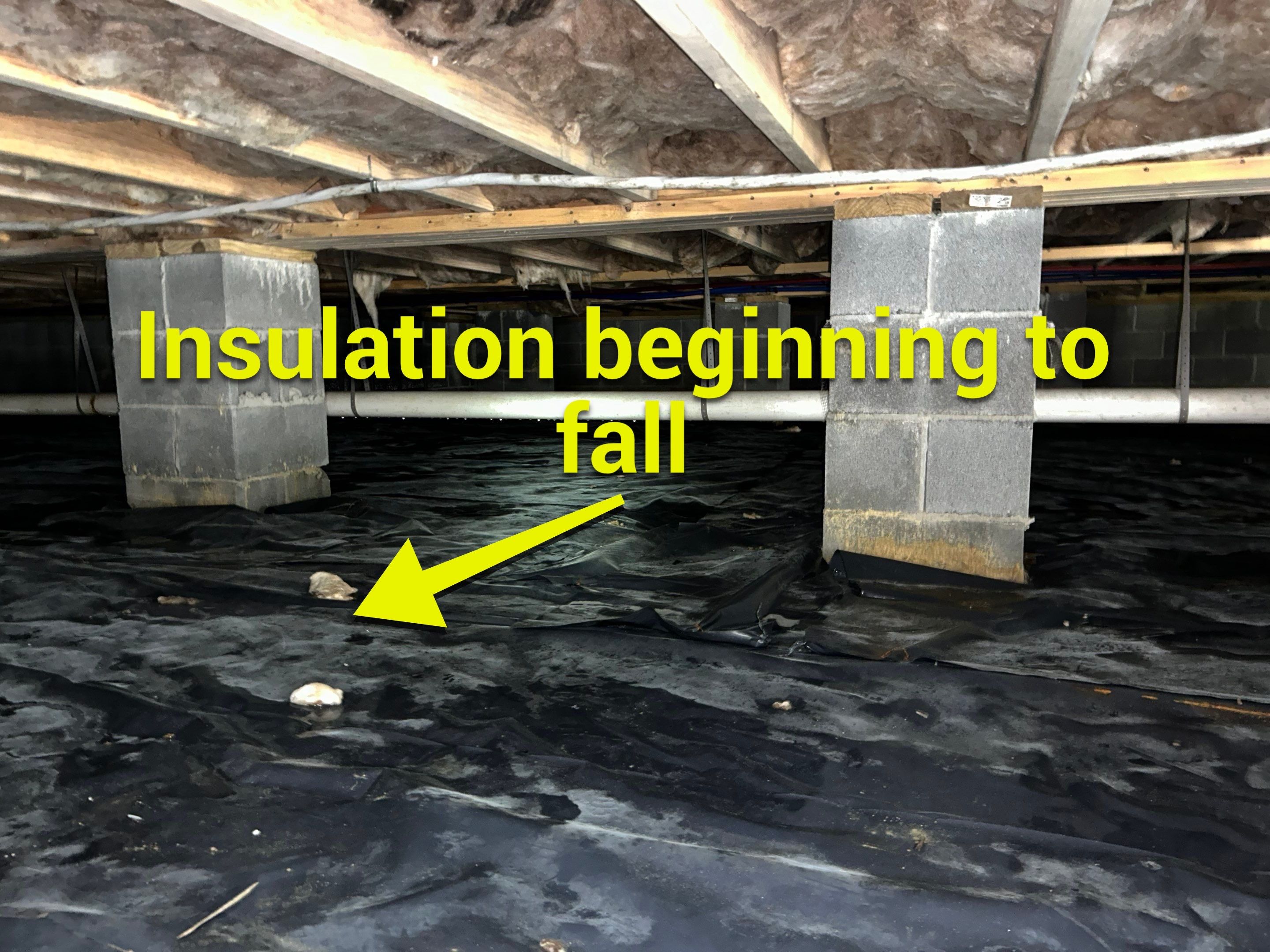 Premium Encapsulation with 20Mil, Borafoam insulation and Light System. by Impact Crawlspace