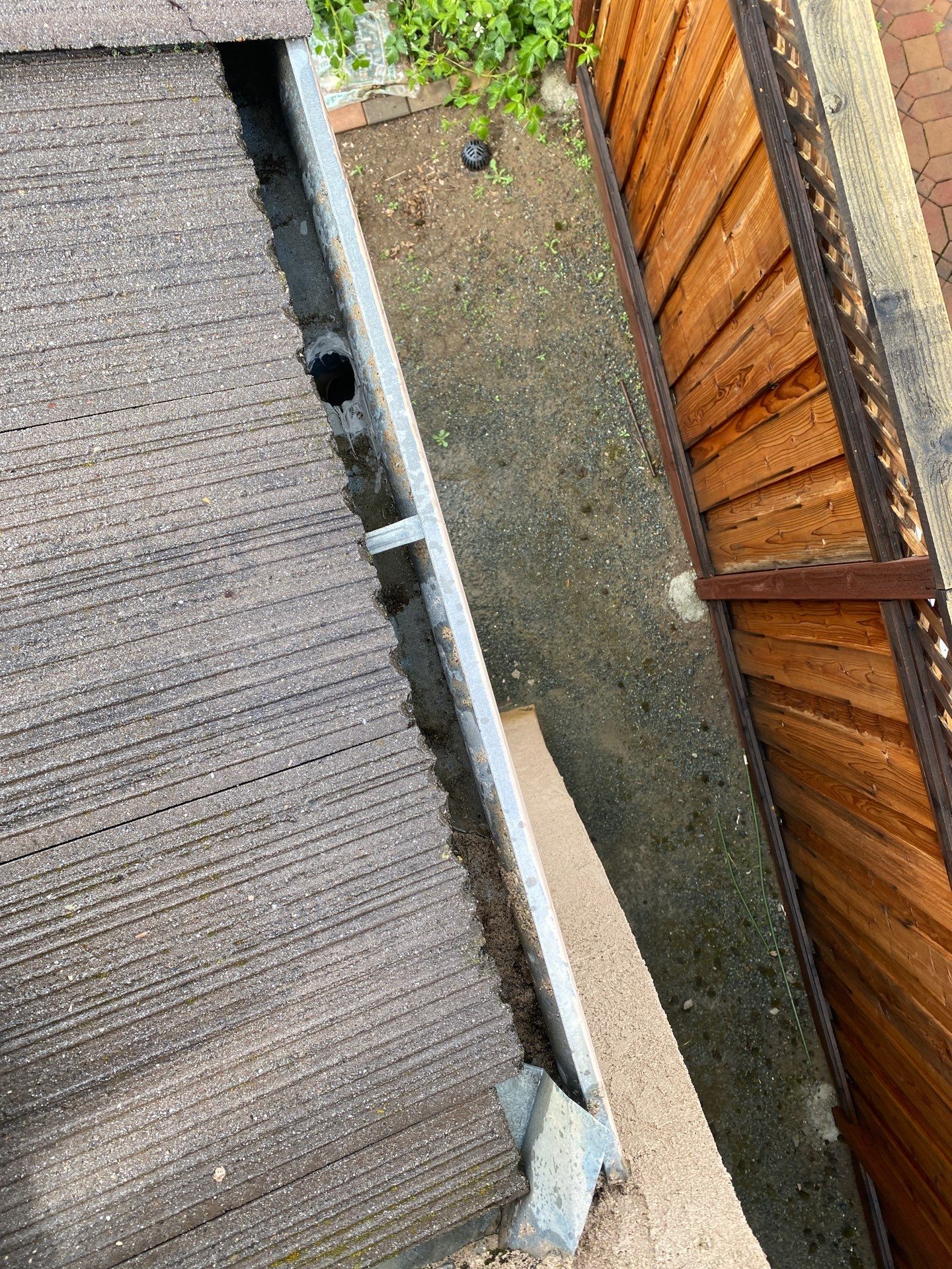 Moss Removal by Top Elevation
