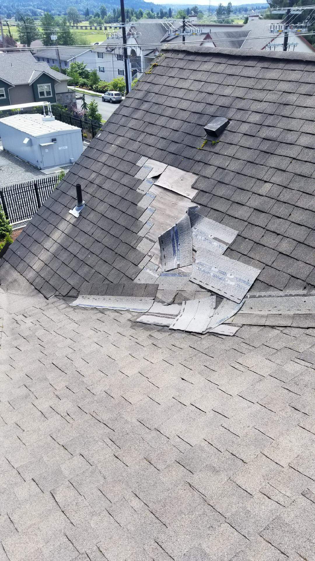 Pearl Street Condos by RoofWorks Northwest