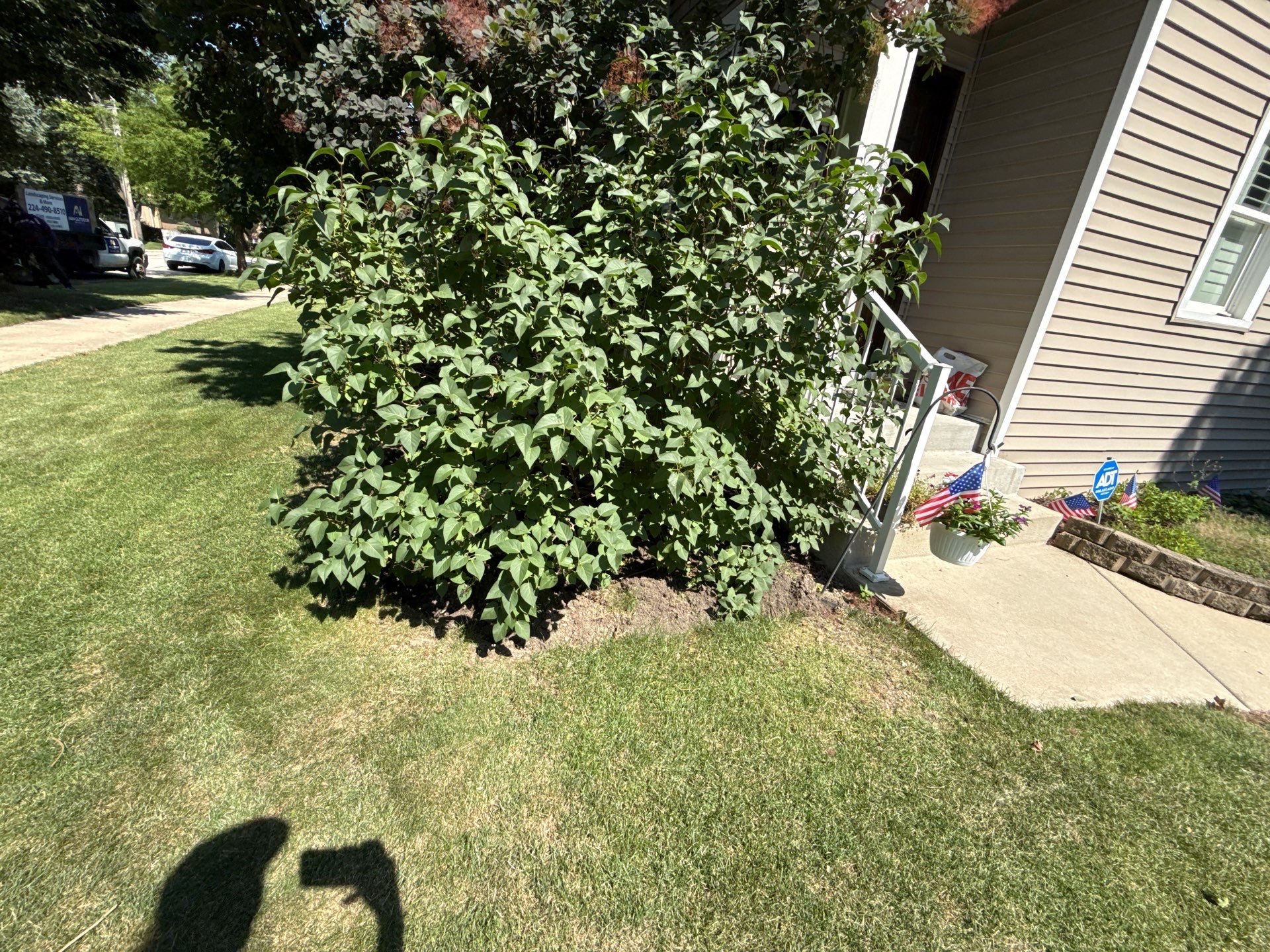 Maura W. - Mount Prospect, IL by A&N
