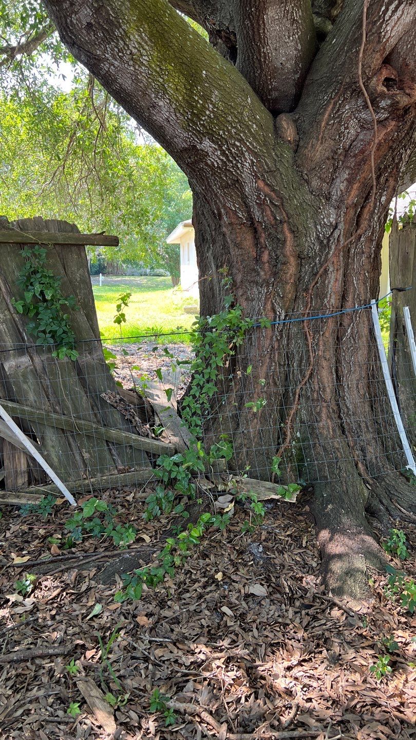 Sarasota, FL 6ft. Tall White Vinyl Privacy Fence  by Asap fence and gates, LLC