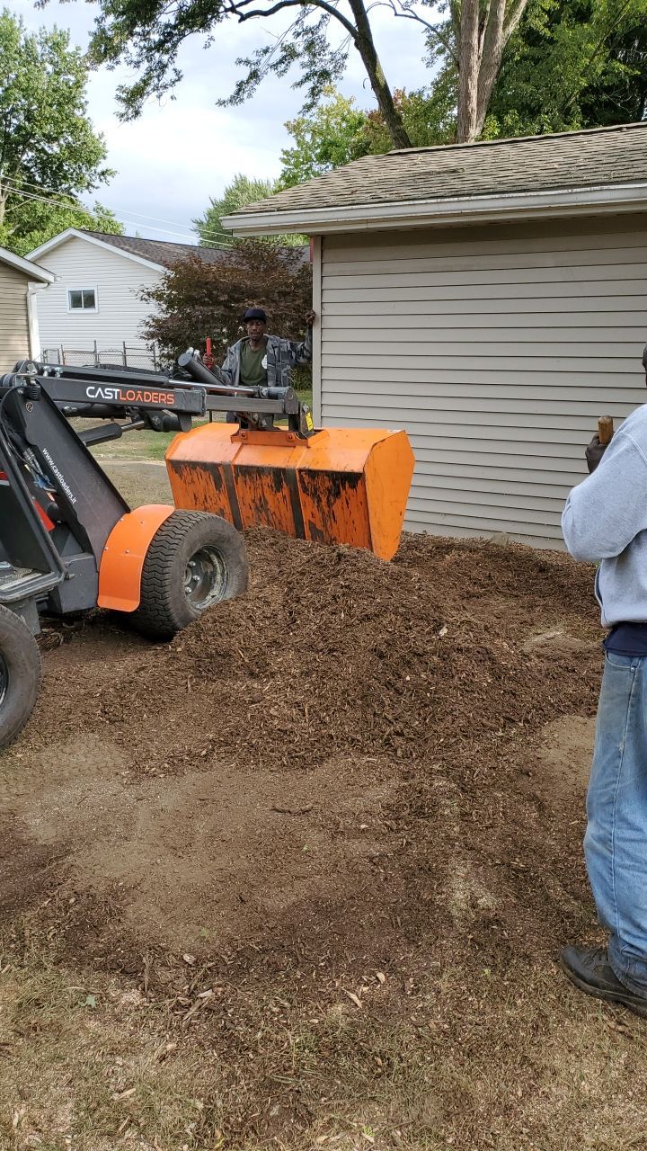Oak Tree Removal by Mike Jones & Sons Tree Service LLC 